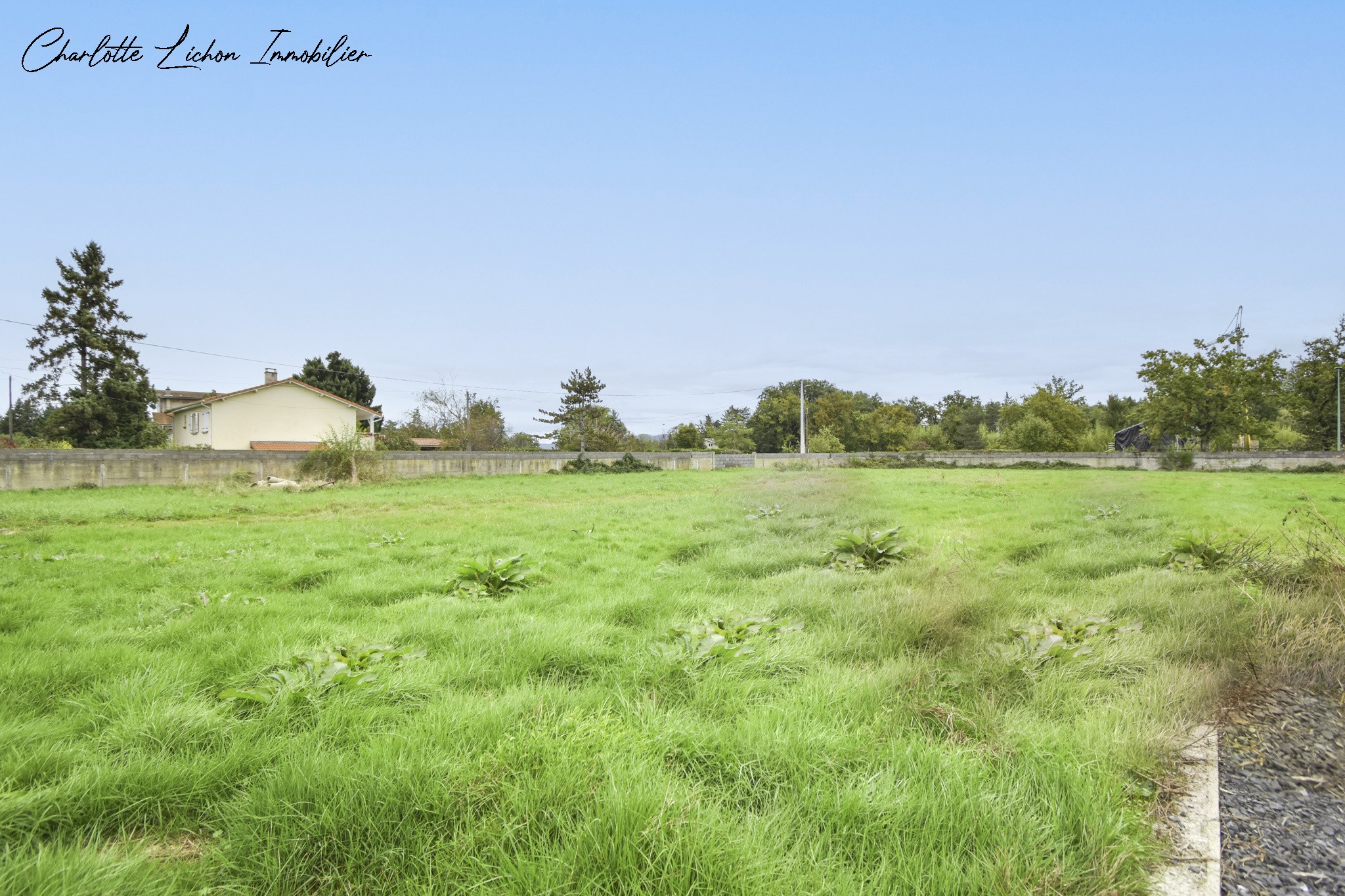 Vente Terrain à Orléat 0 pièce