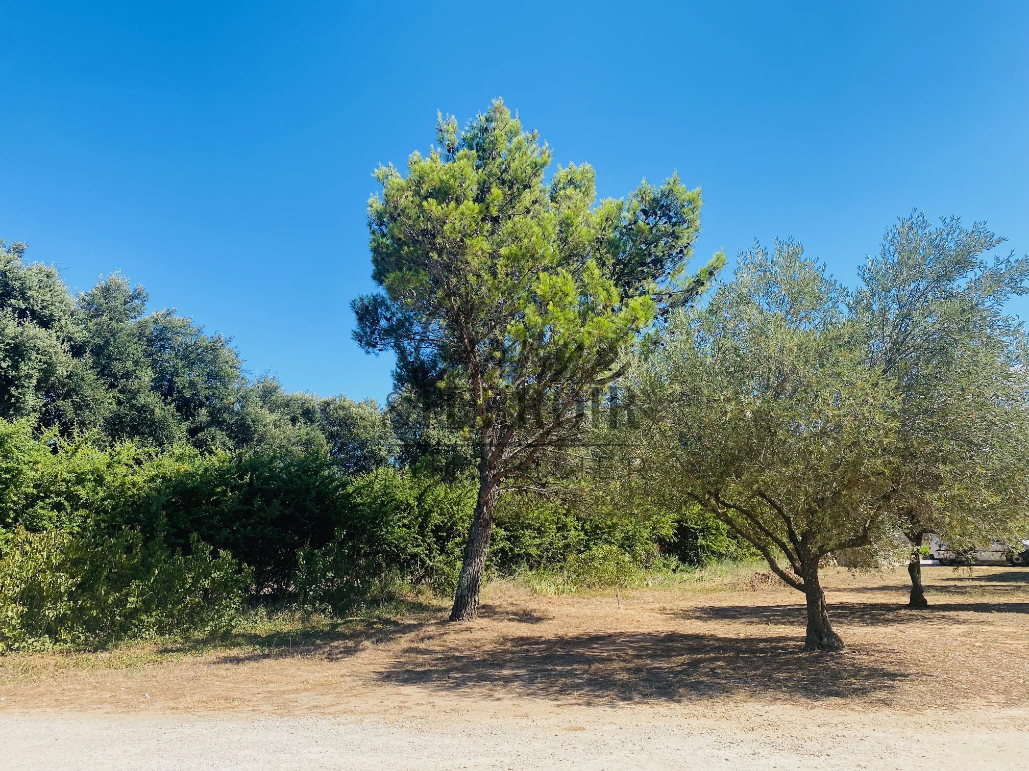 Vente Maison à Uzès 0 pièce