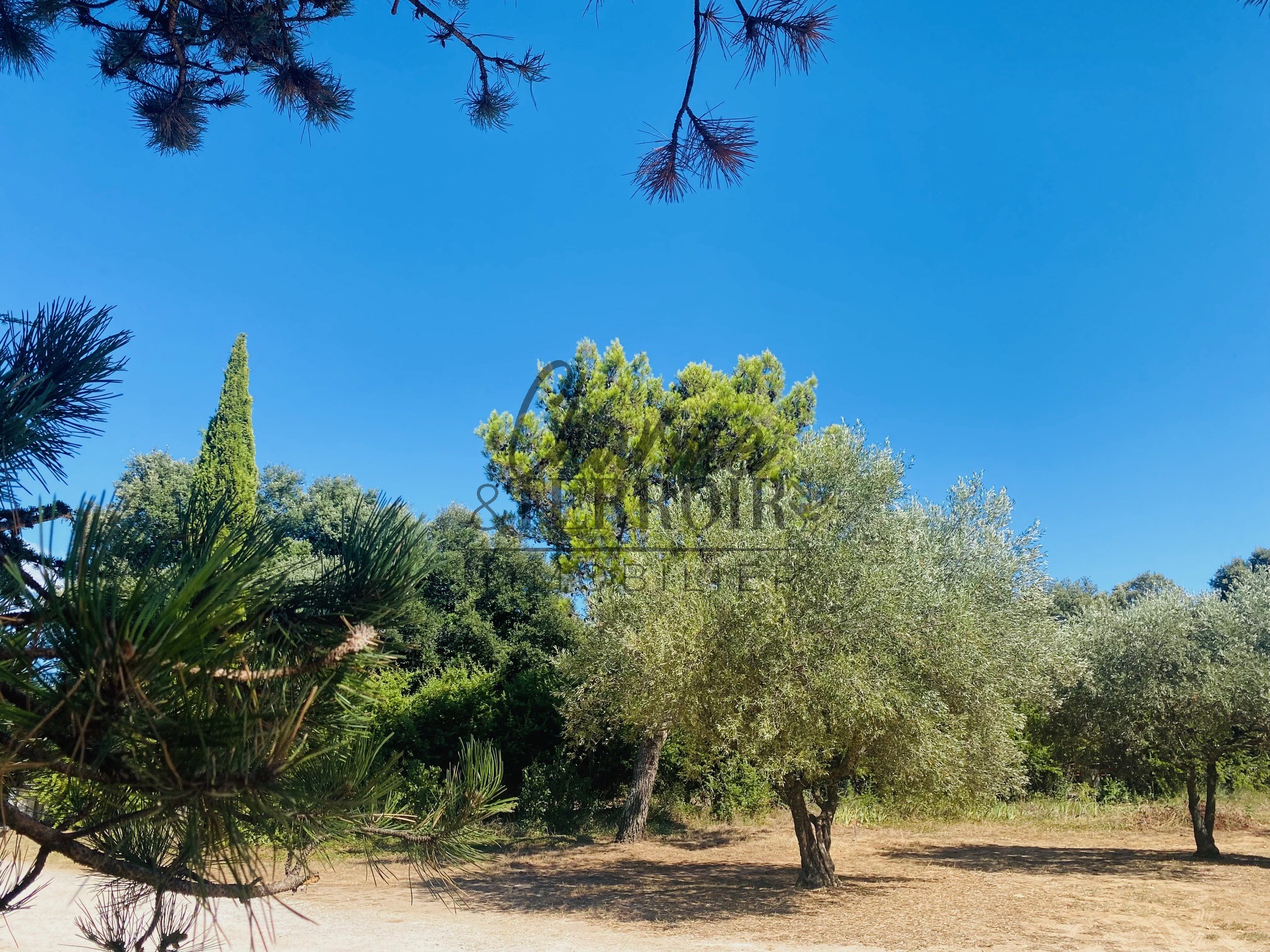 Vente Maison à Uzès 0 pièce