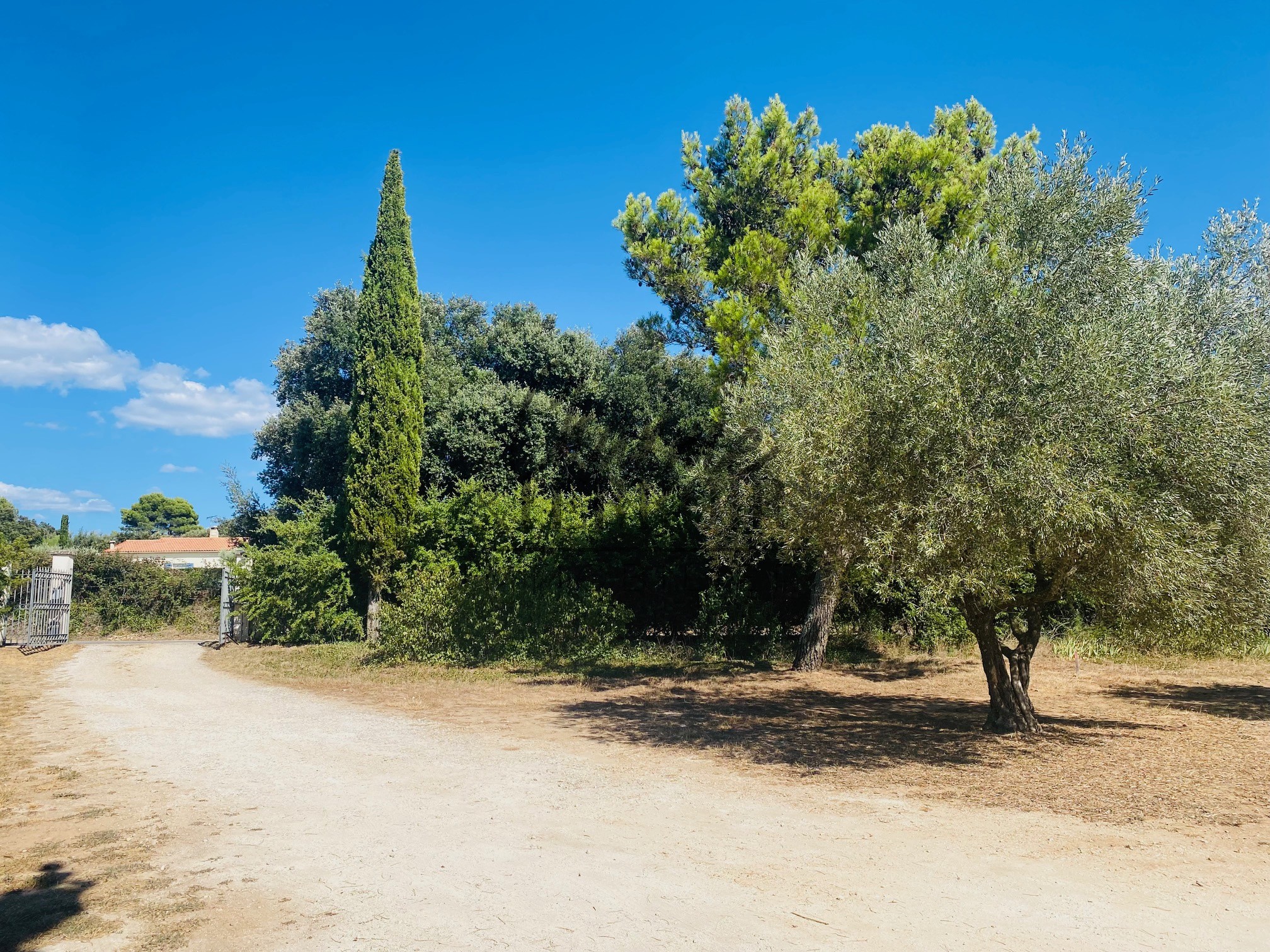 Vente Maison à Uzès 0 pièce