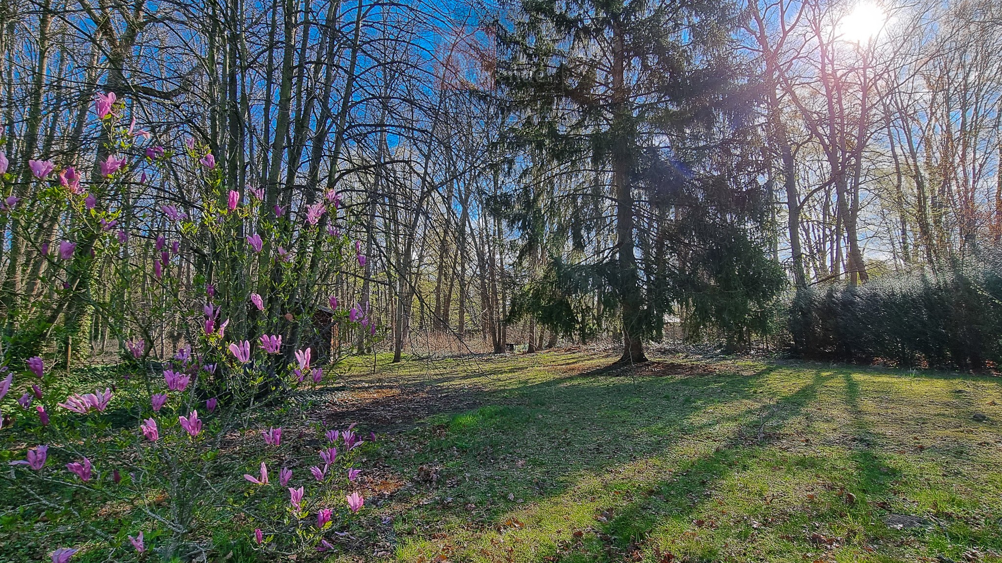 Vente Maison à Lamorlaye 4 pièces