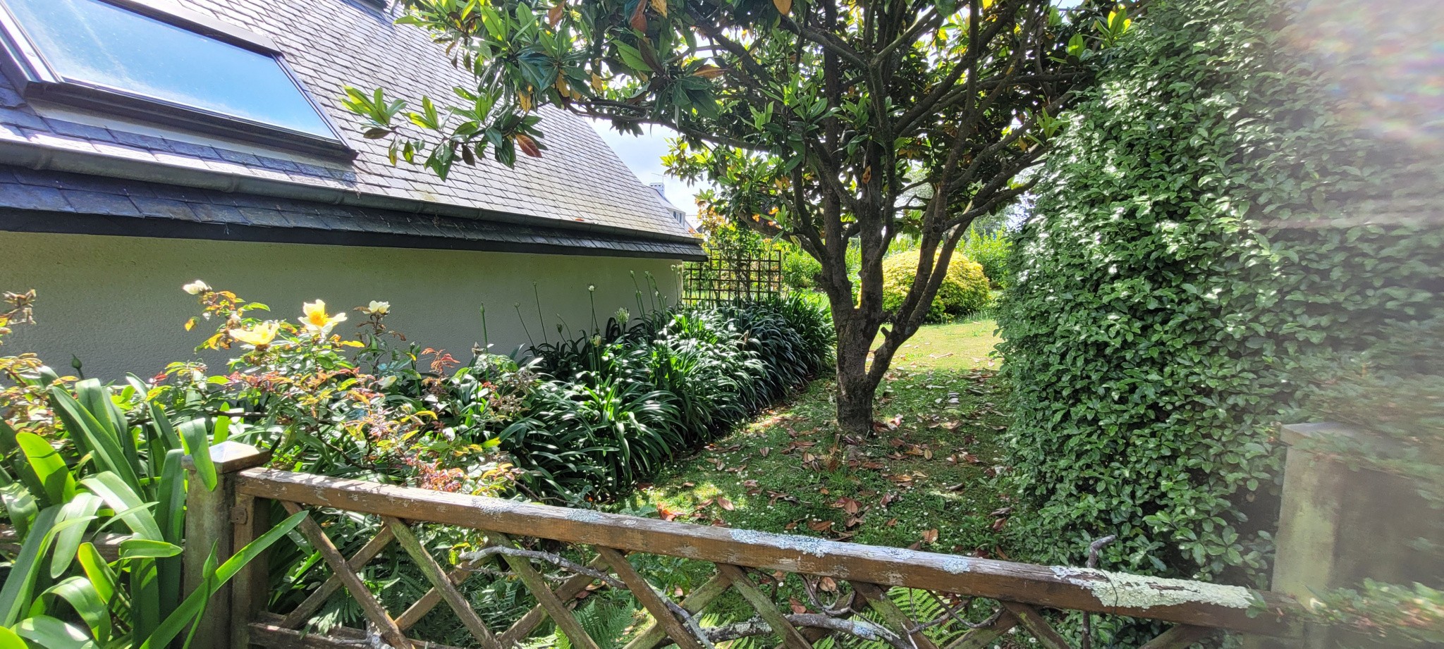 Vente Maison à Paimpol 8 pièces