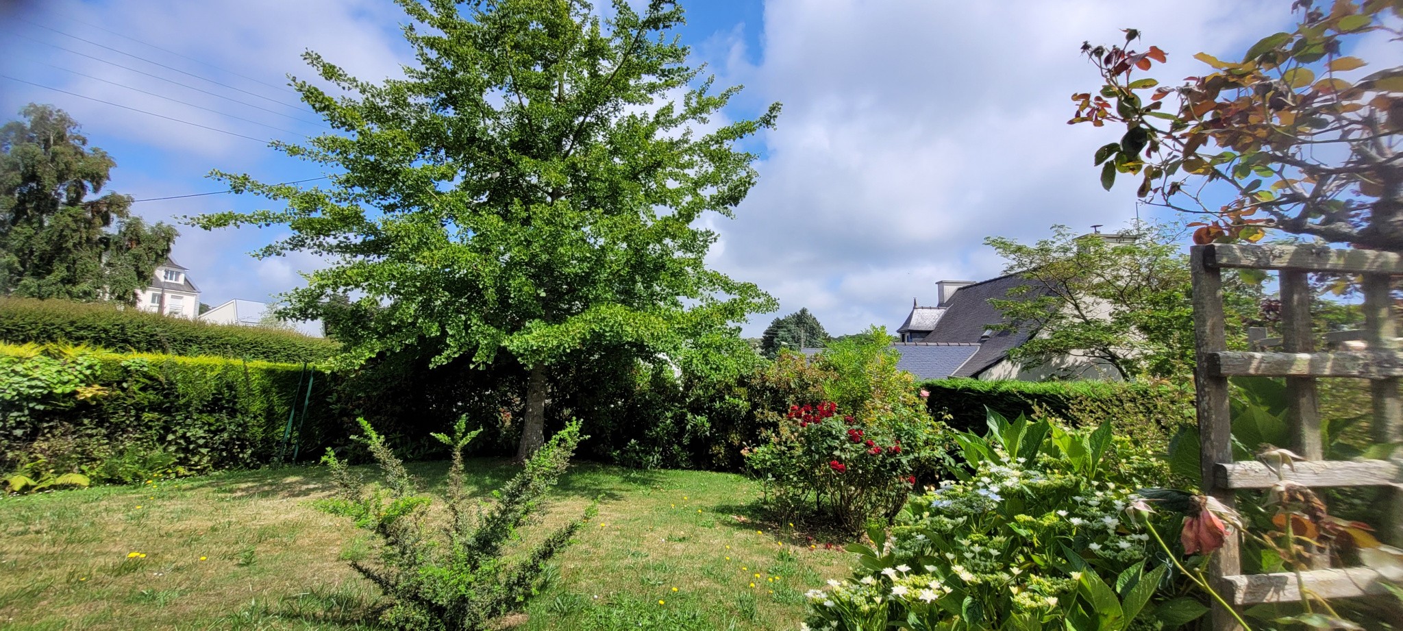 Vente Maison à Paimpol 8 pièces