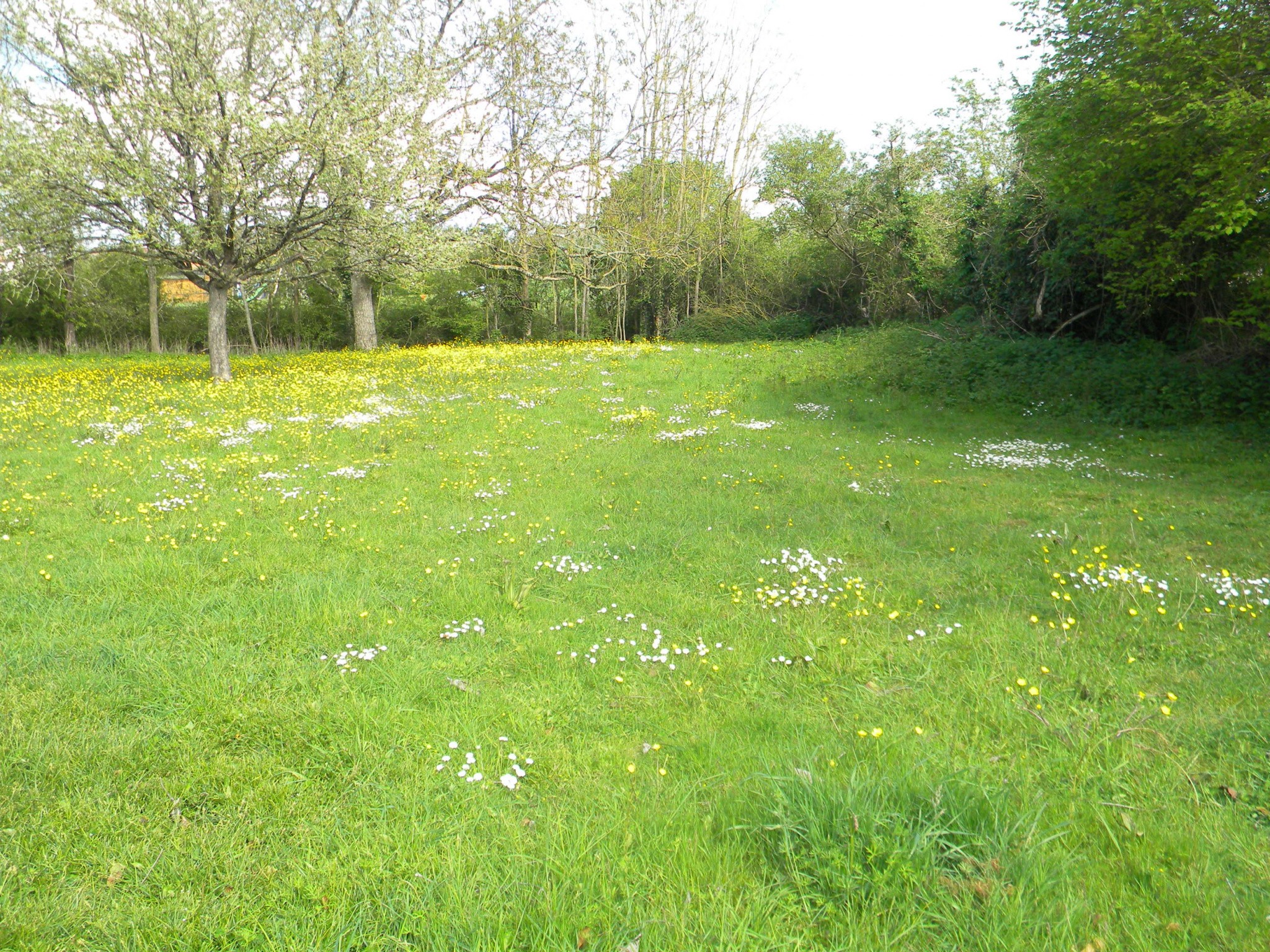 Vente Maison à Saint-Vincent-Sterlanges 12 pièces