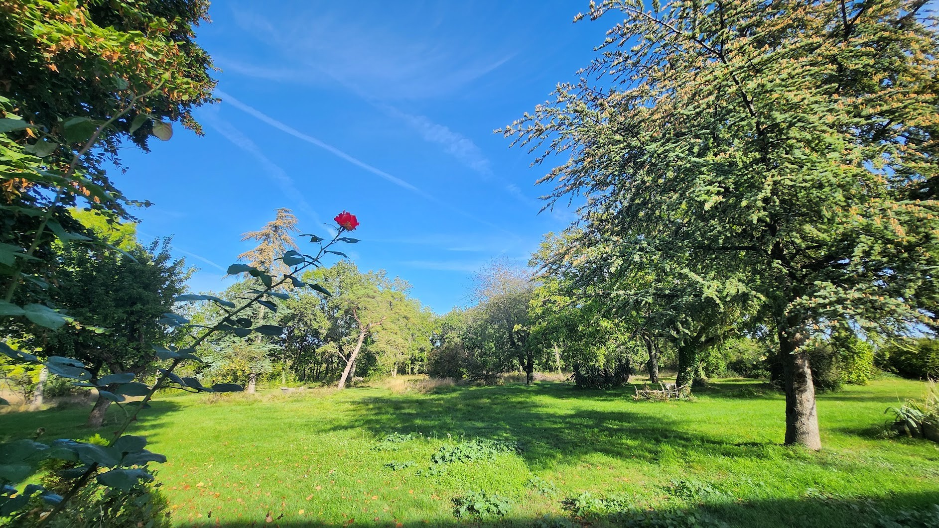 Vente Maison à Bagneaux-sur-Loing 9 pièces