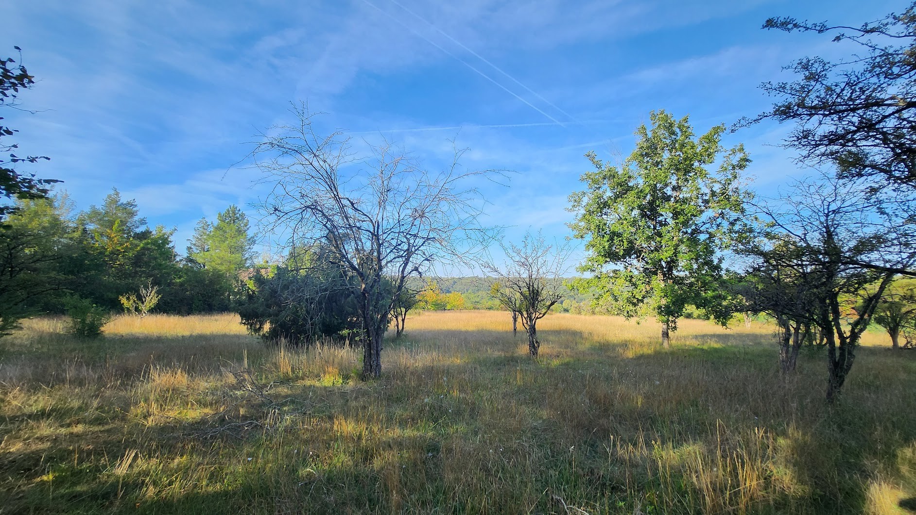 Vente Maison à Bagneaux-sur-Loing 9 pièces