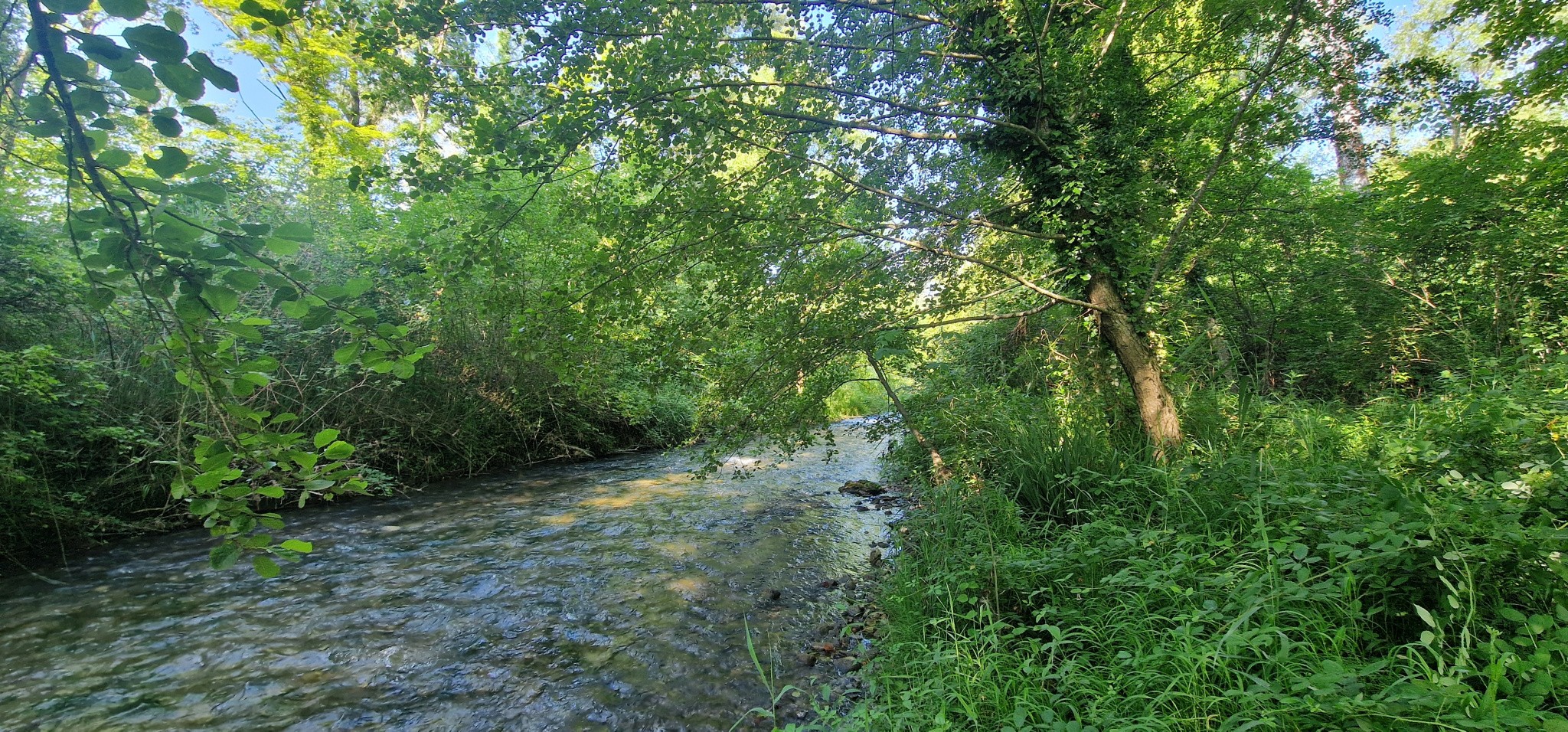 Vente Maison à la Bégude-de-Mazenc 10 pièces