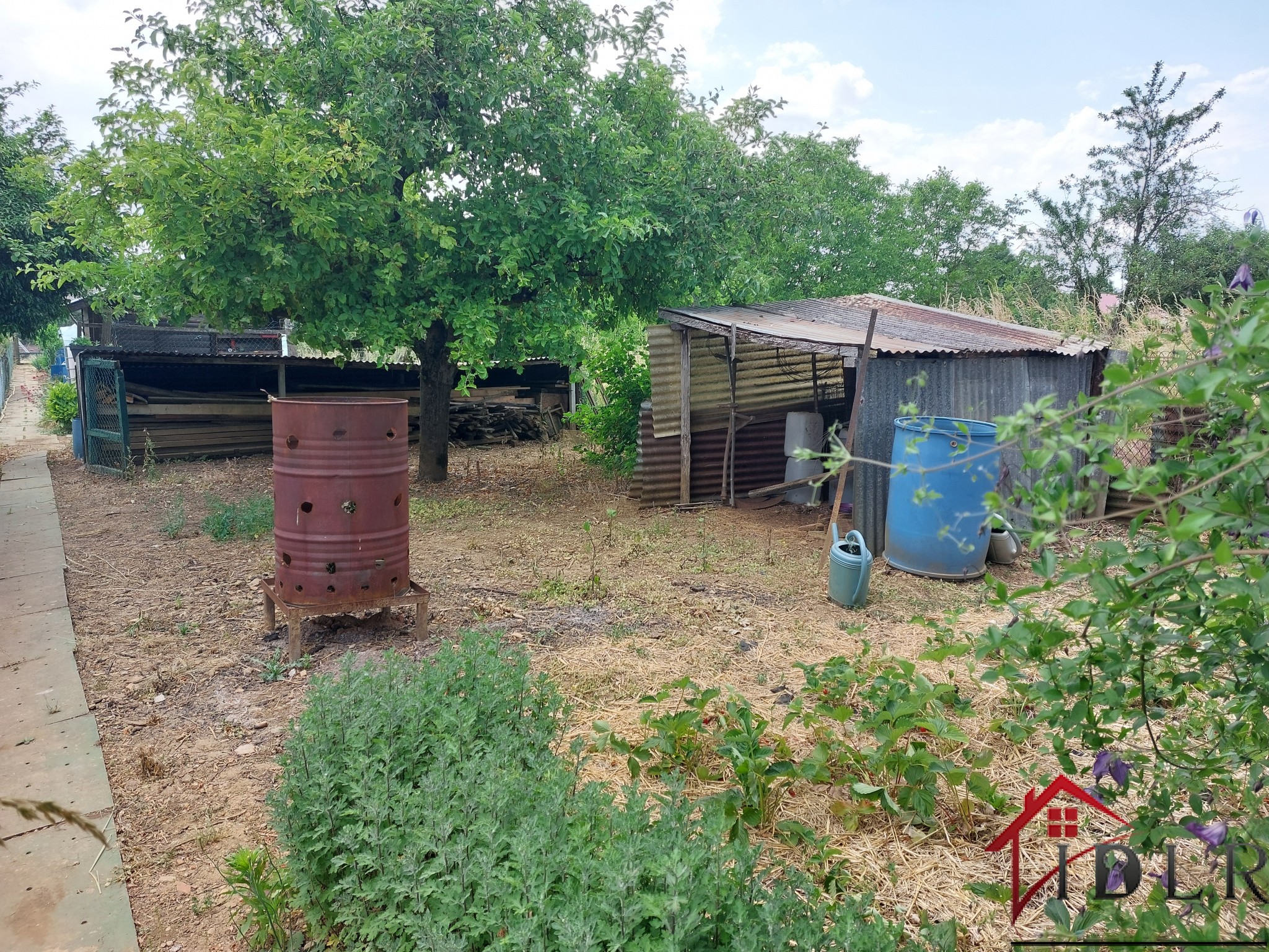 Vente Terrain à Wassy 0 pièce