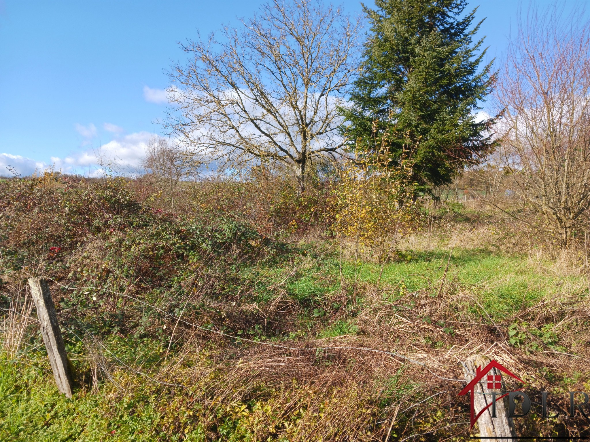 Vente Maison à Combeaufontaine 11 pièces