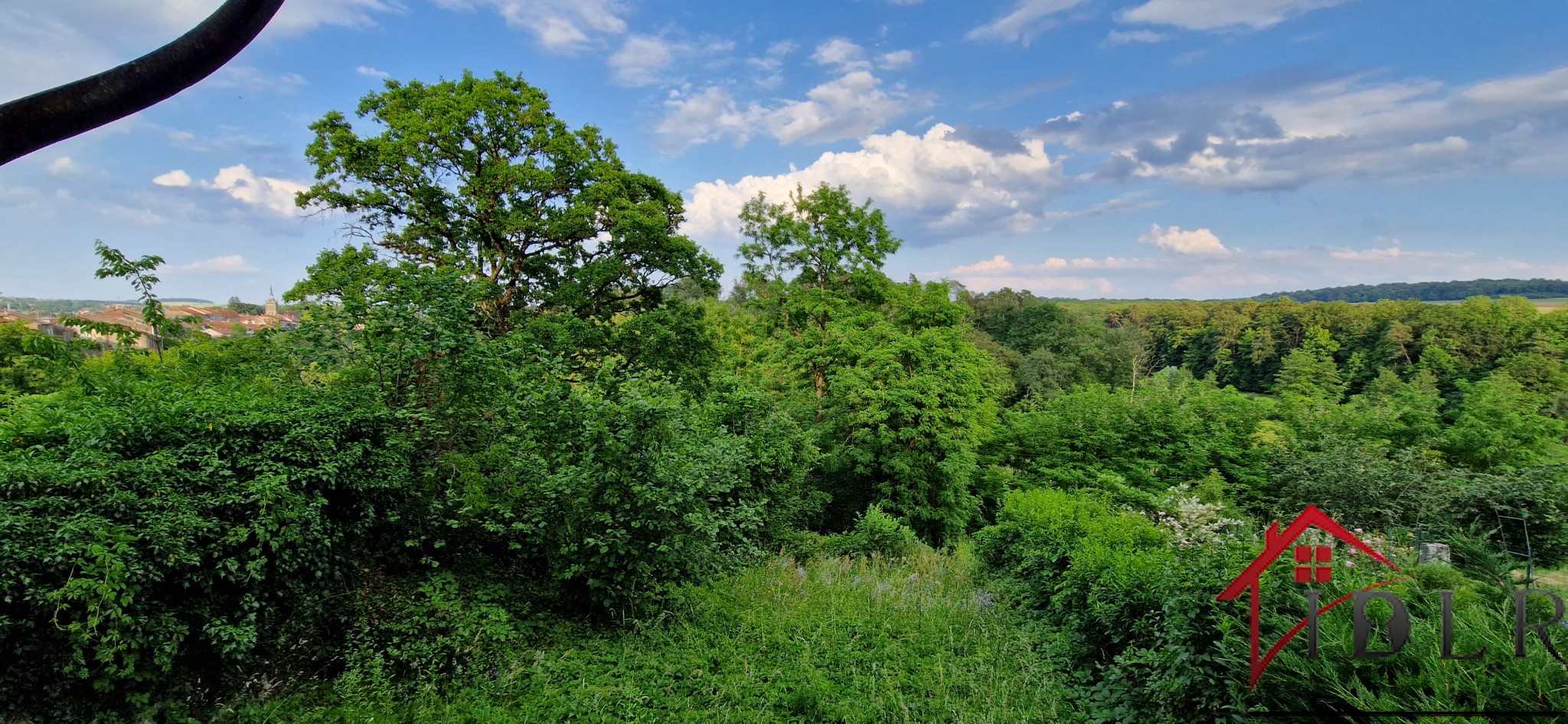 Vente Maison à Châtillon-sur-Saône 5 pièces