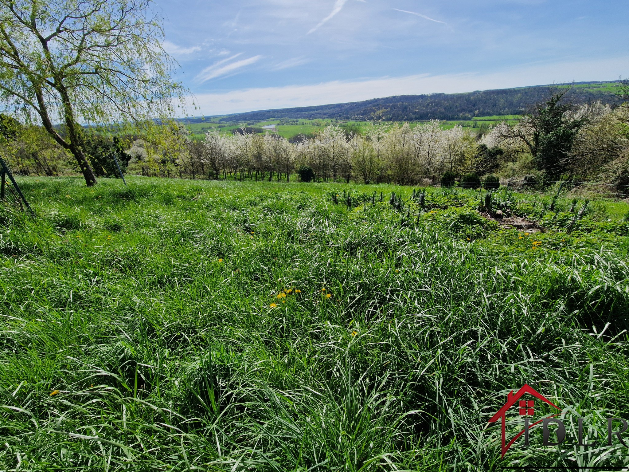 Vente Maison à Laferté-sur-Amance 3 pièces