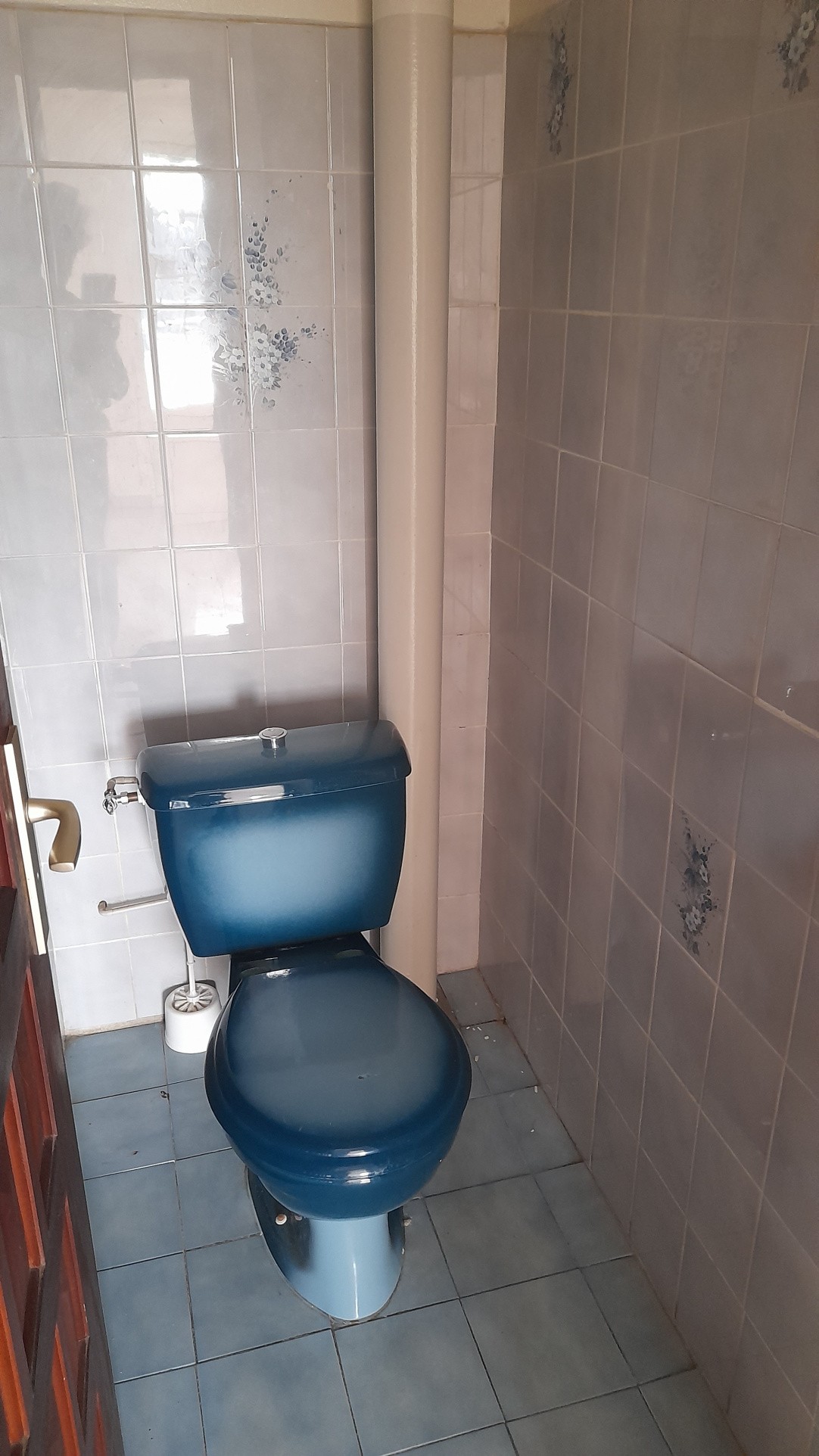 Location Appartement à Basse-Terre 3 pièces