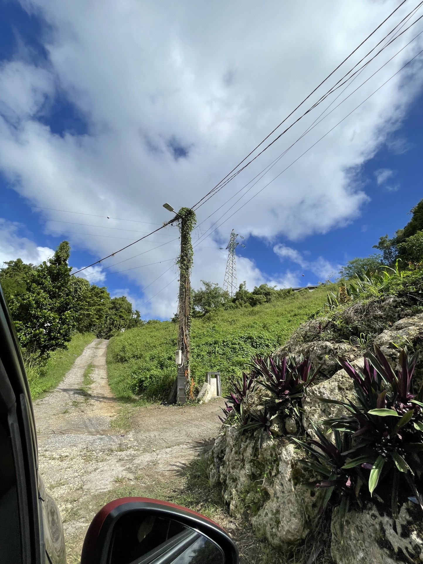 Vente Terrain à les Abymes 0 pièce