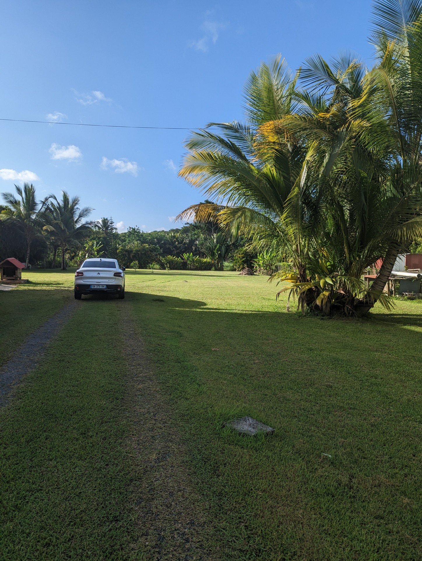 Vente Maison à Morne-à-l'Eau 8 pièces