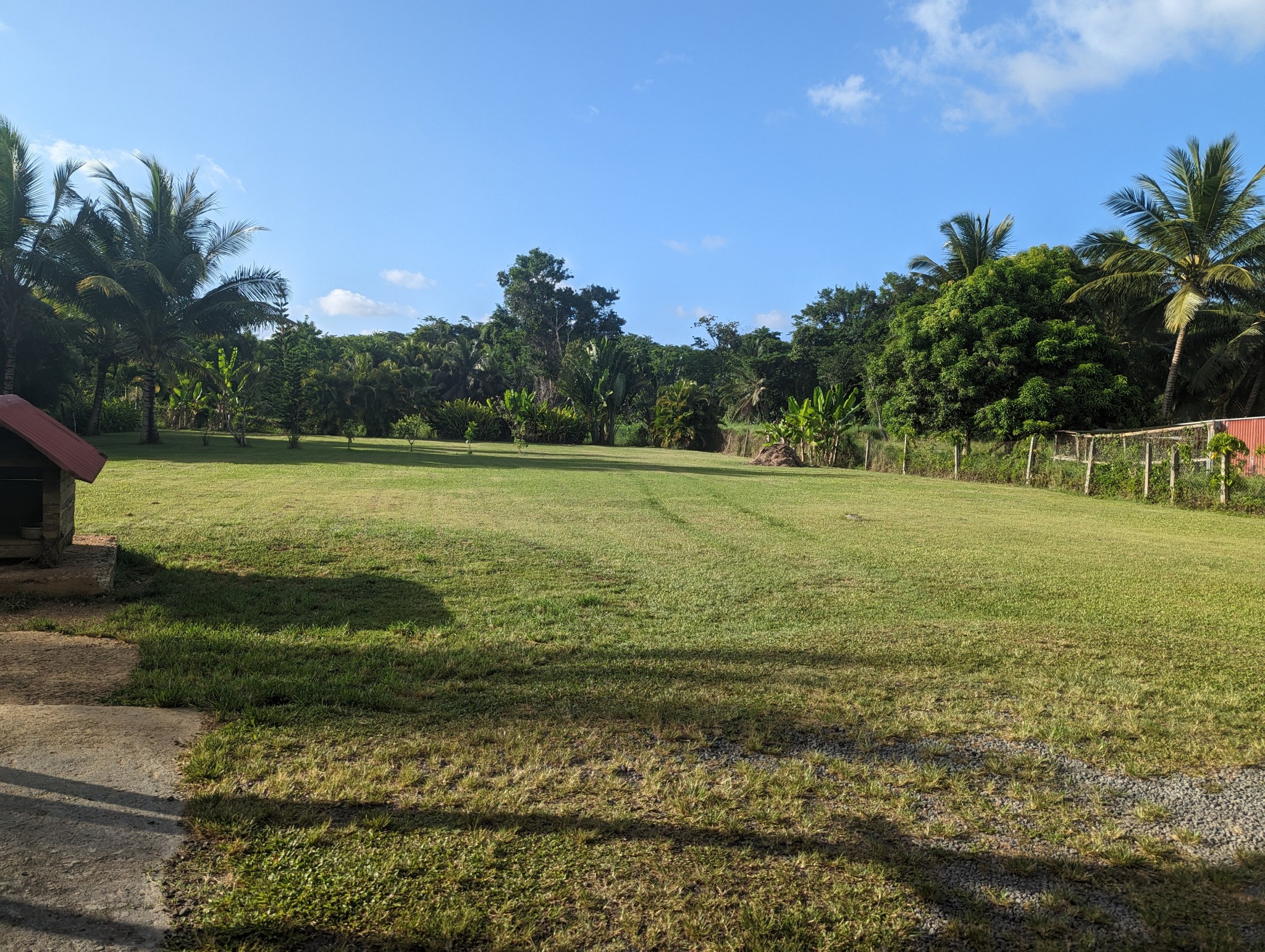 Vente Maison à Morne-à-l'Eau 8 pièces