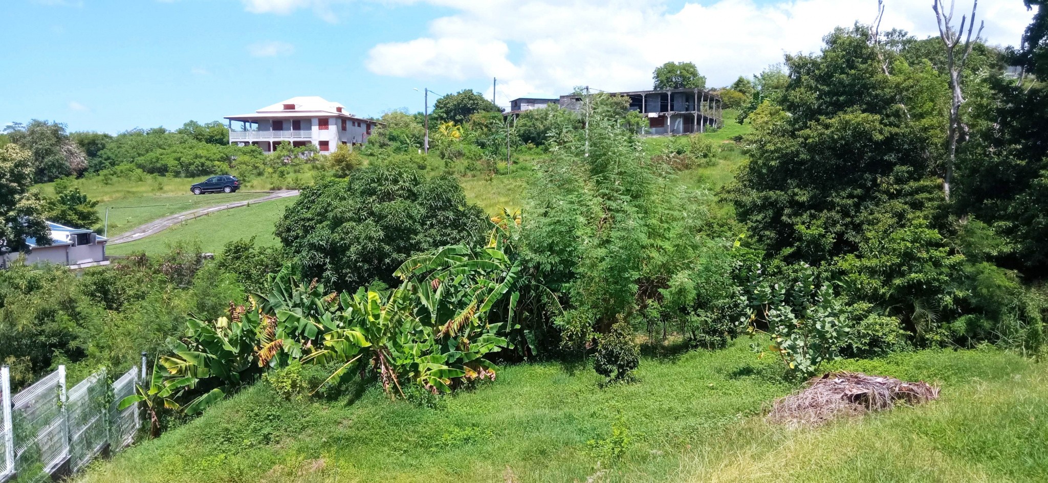 Vente Maison à Vieux-Habitants 12 pièces