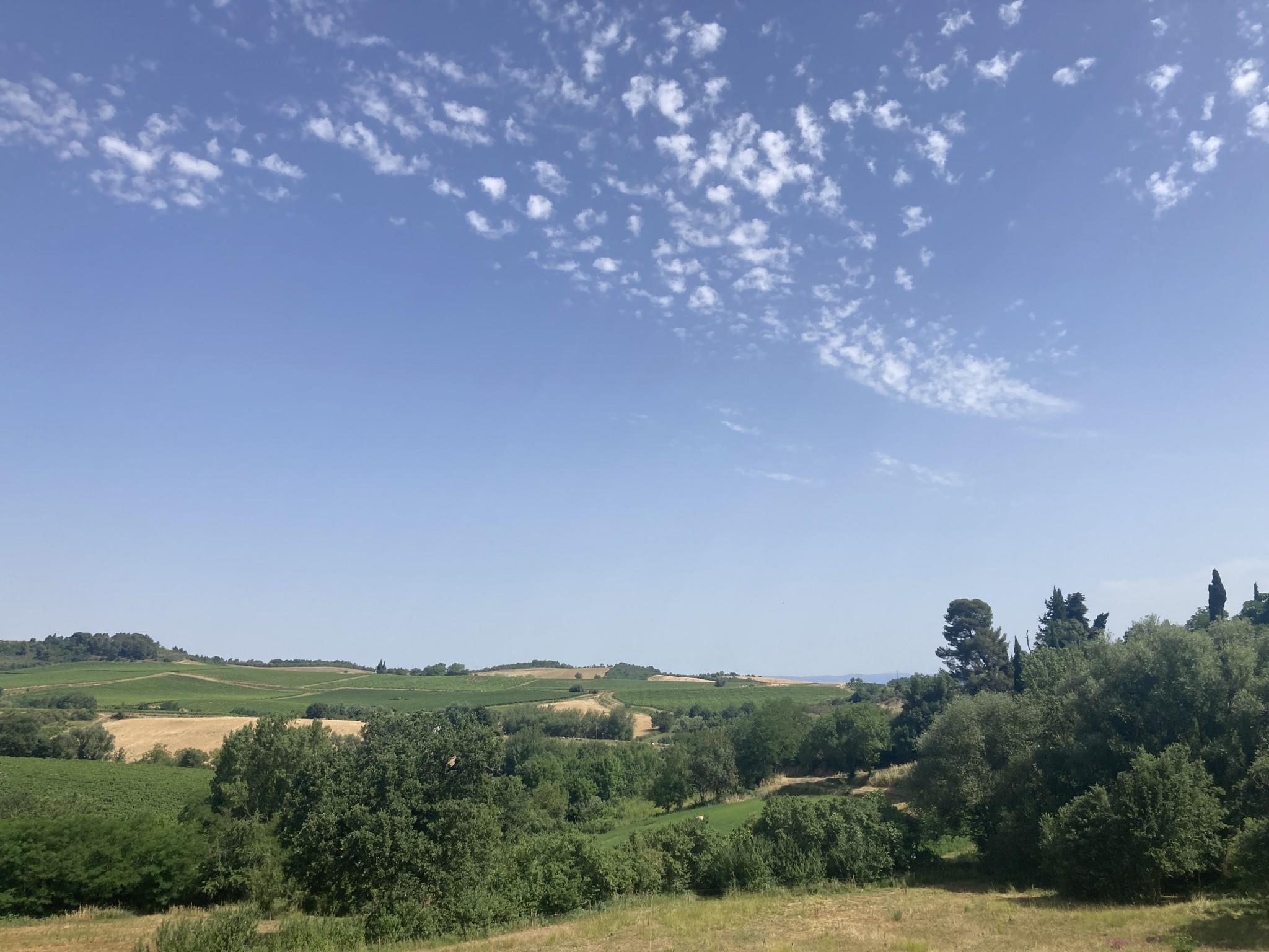 Vente Terrain à Donazac 1 pièce