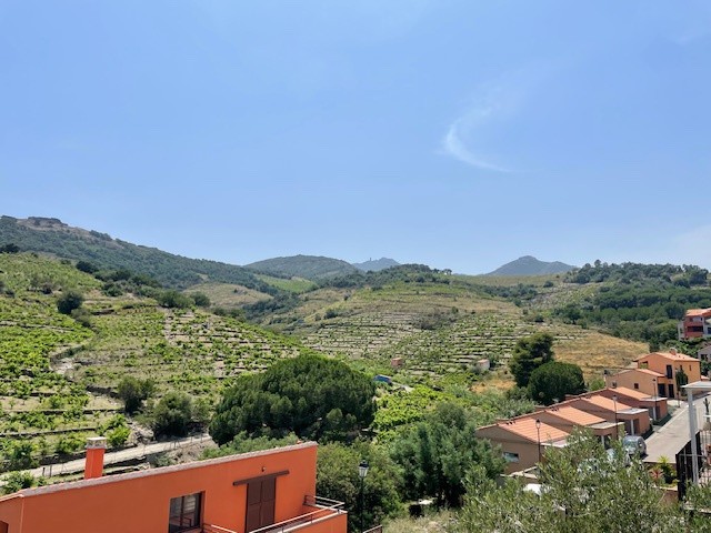 Vente Maison à Collioure 7 pièces