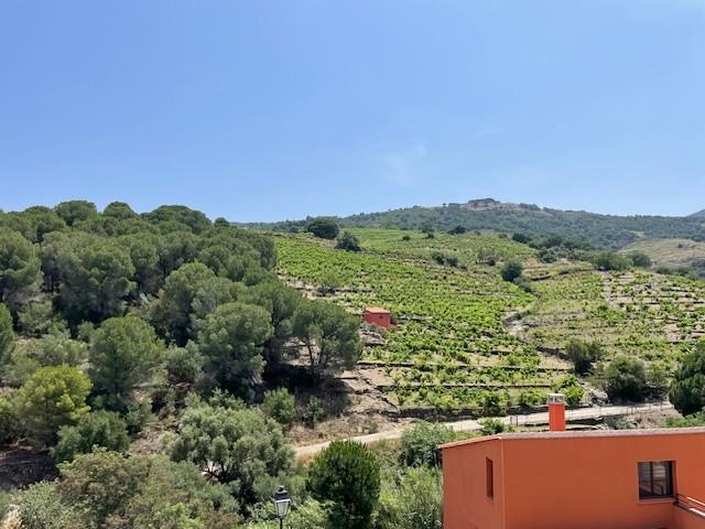 Vente Maison à Collioure 7 pièces