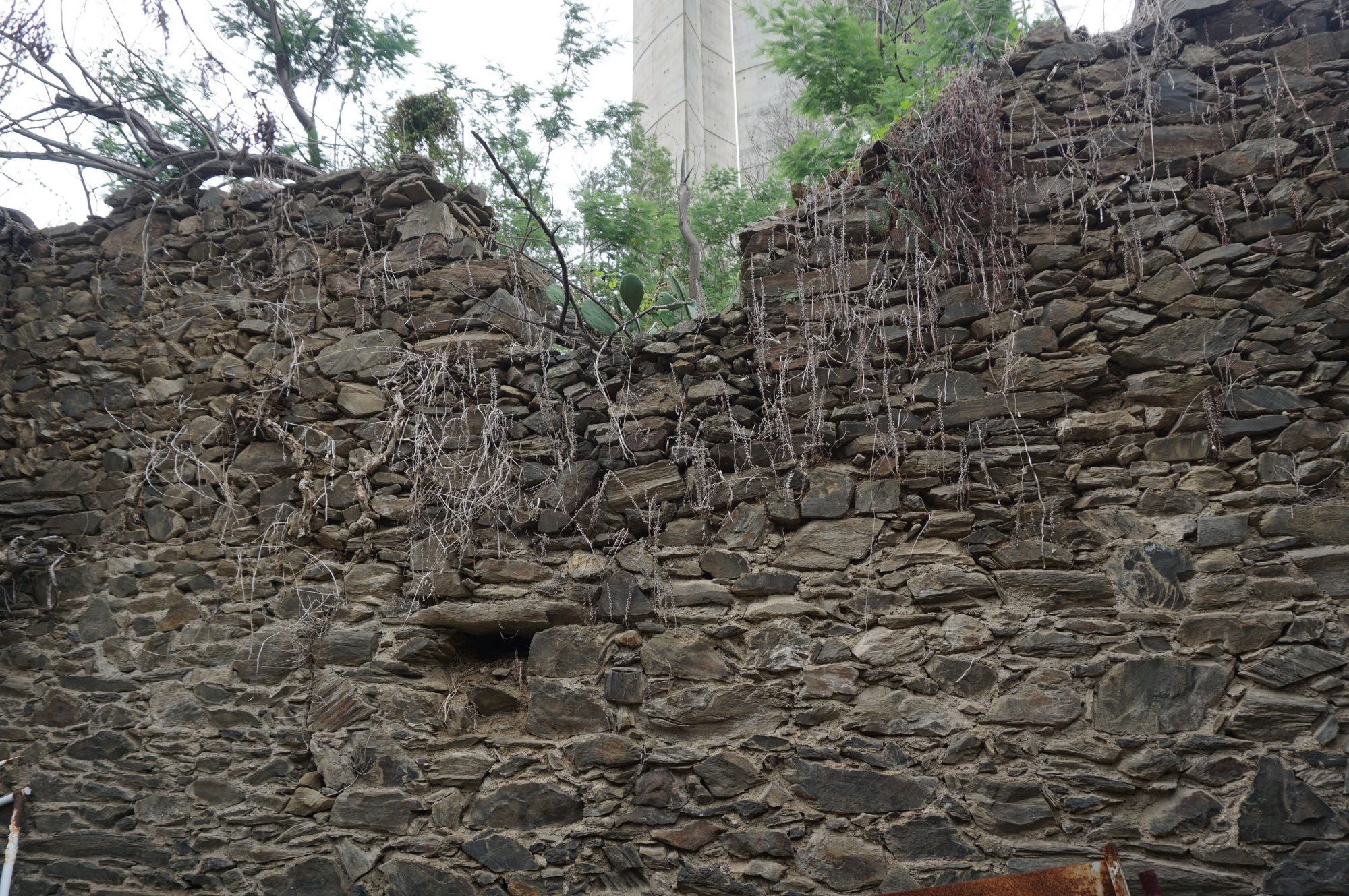 Vente Terrain à Collioure 0 pièce