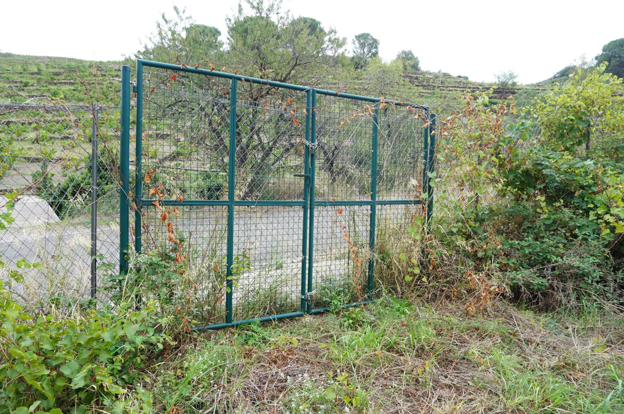 Vente Terrain à Collioure 0 pièce