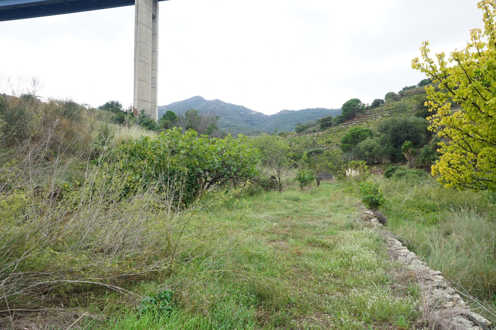 Vente Terrain à Collioure 0 pièce