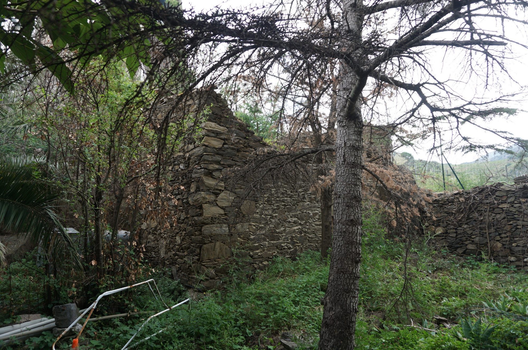 Vente Terrain à Collioure 0 pièce