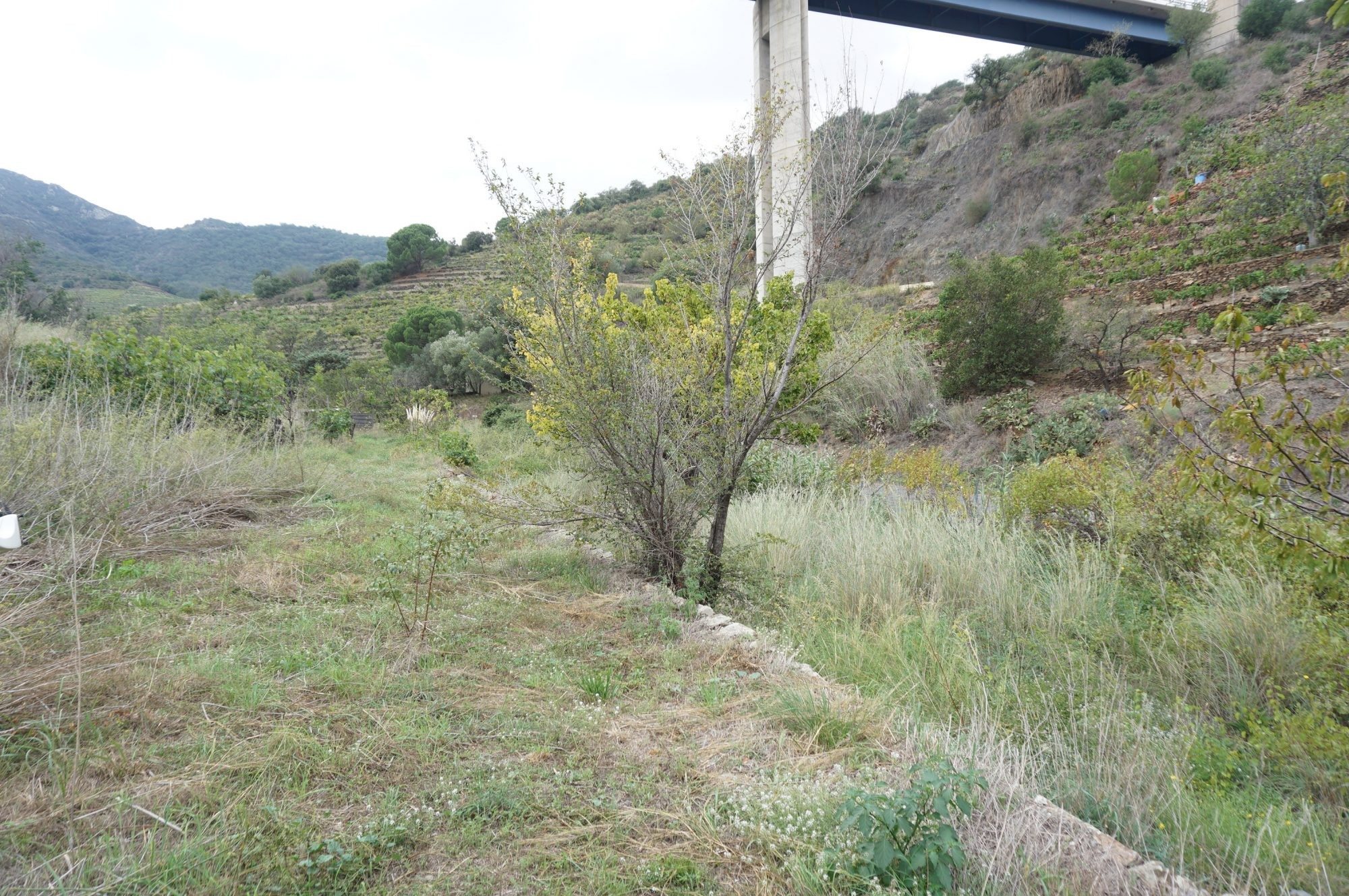 Vente Terrain à Collioure 0 pièce