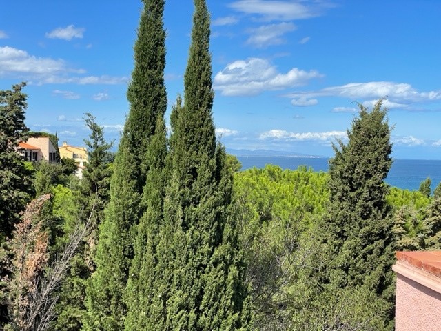 Vente Appartement à Collioure 2 pièces