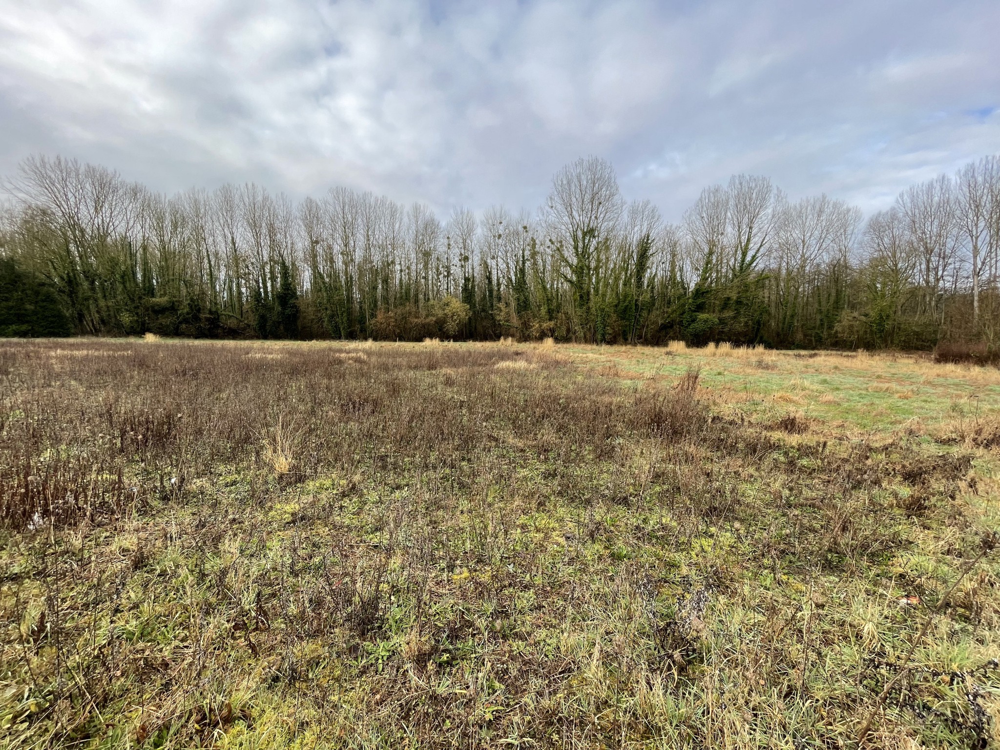 Vente Terrain à Saint-Christophe-à-Berry 0 pièce