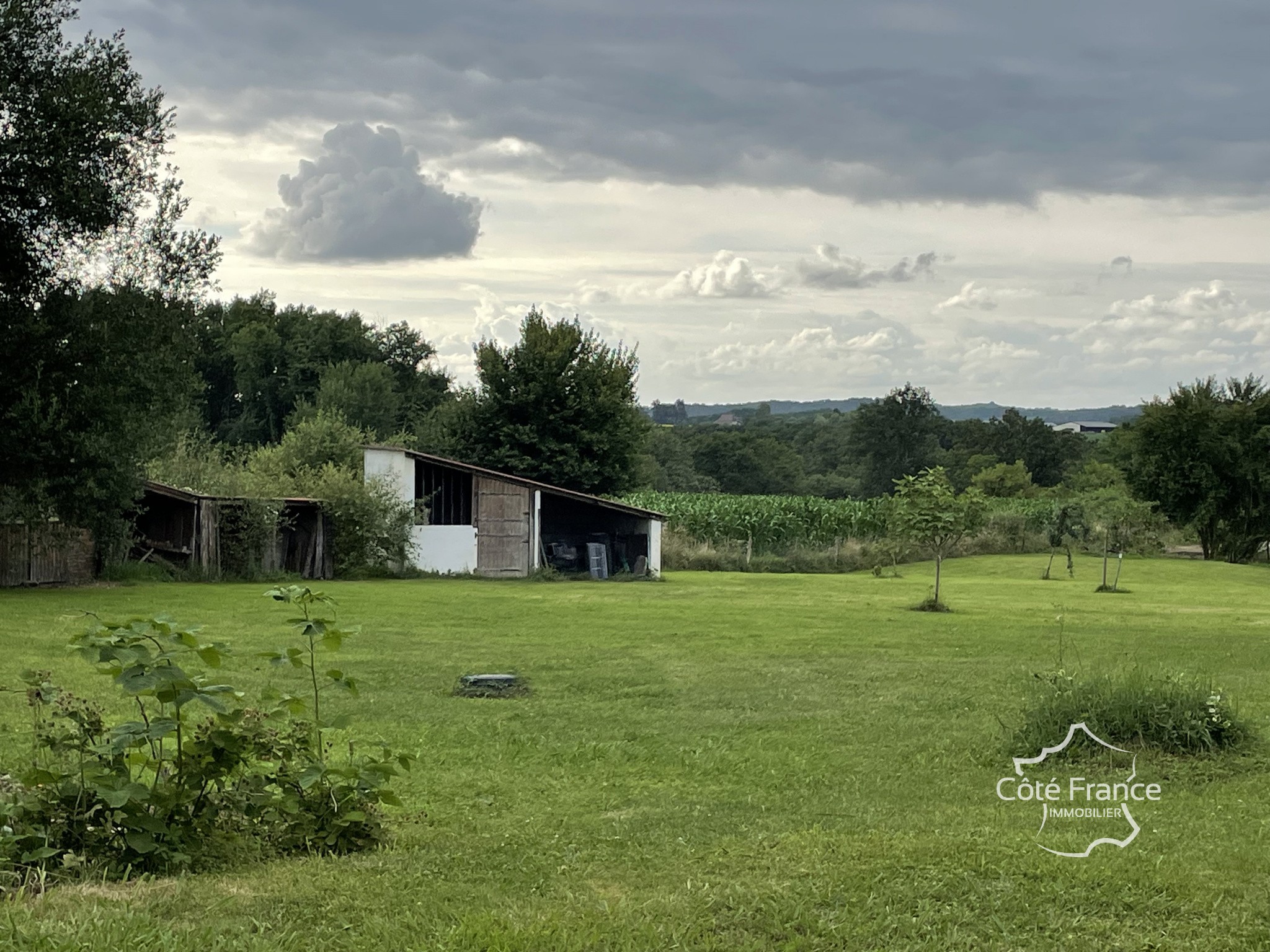 Vente Maison à Salies-de-Béarn 7 pièces