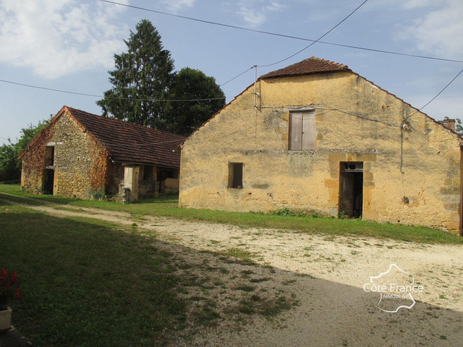 Vente Maison à Tamniès 10 pièces