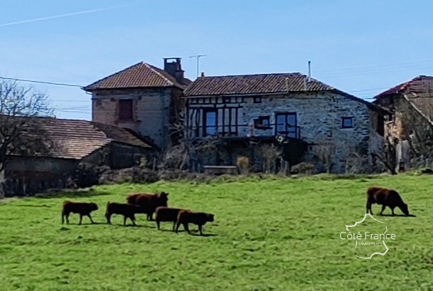 Vente Maison à Maurs 4 pièces