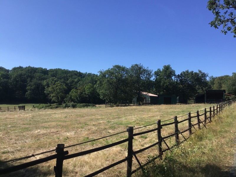 Vente Maison à Cordes-sur-Ciel 7 pièces