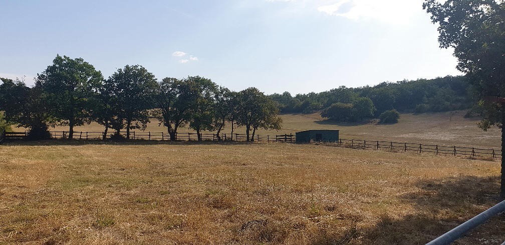 Vente Maison à Cordes-sur-Ciel 7 pièces