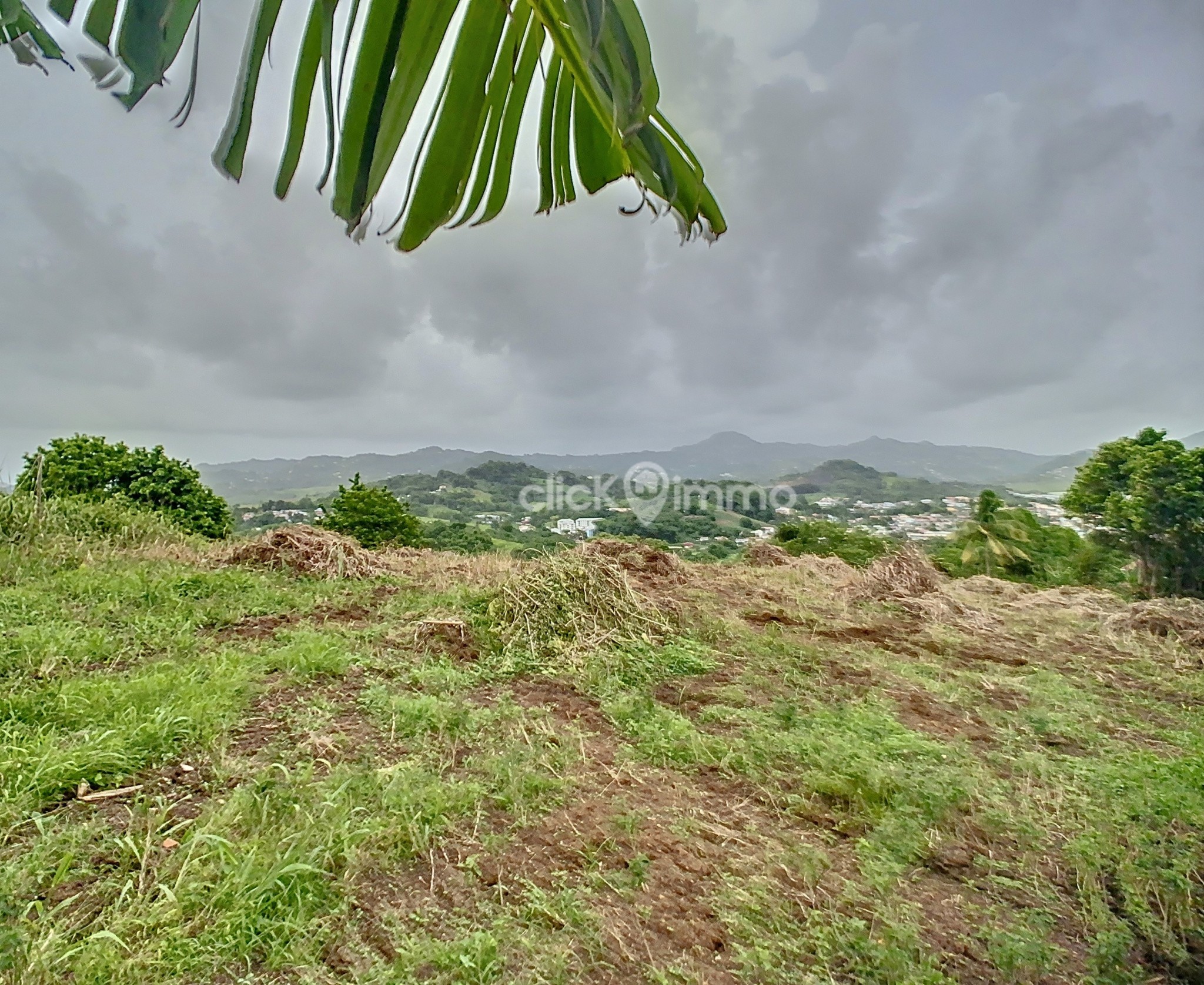 Vente Terrain à Saint-Esprit 0 pièce