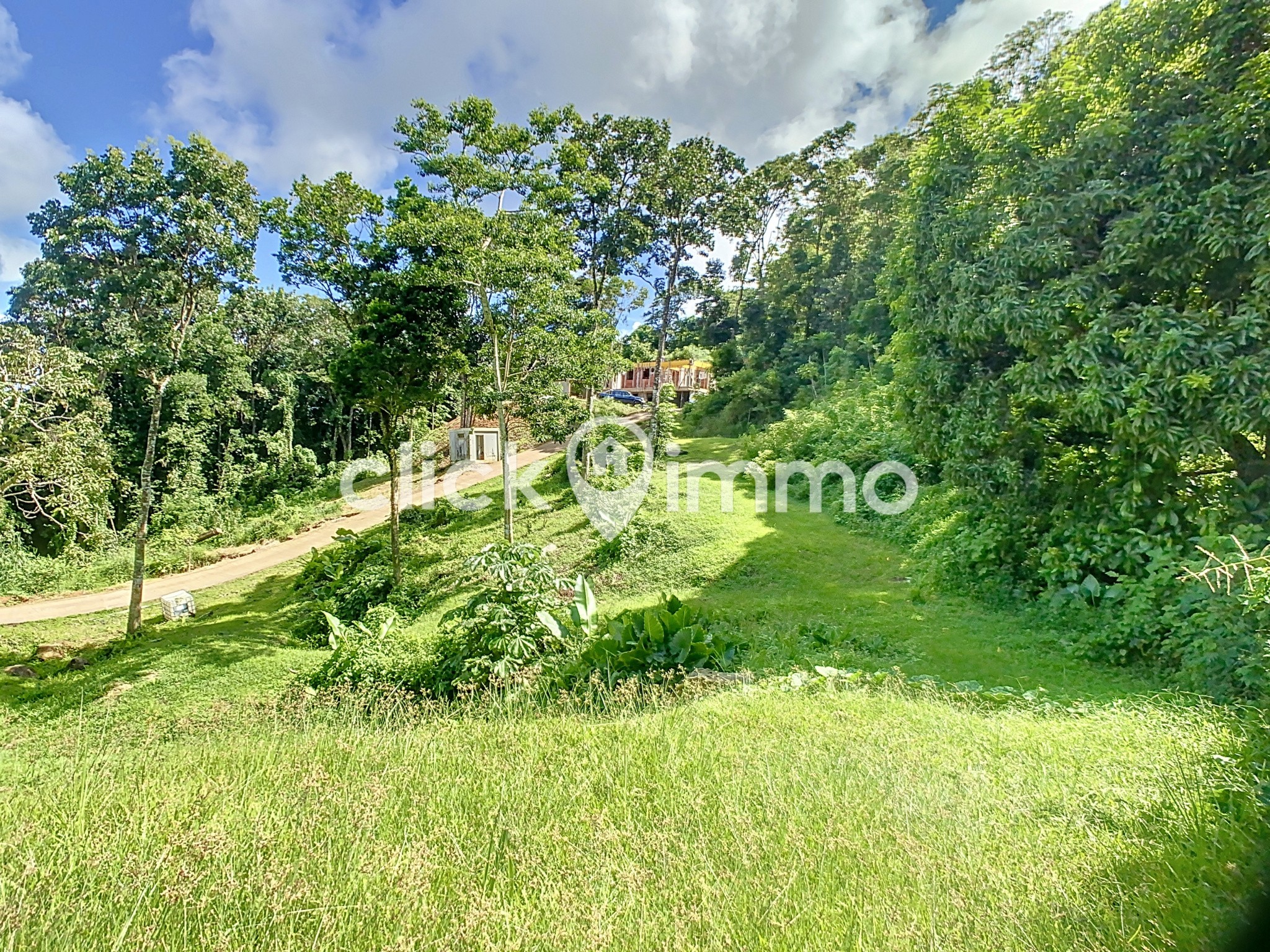 Vente Terrain à Sainte-Luce 0 pièce