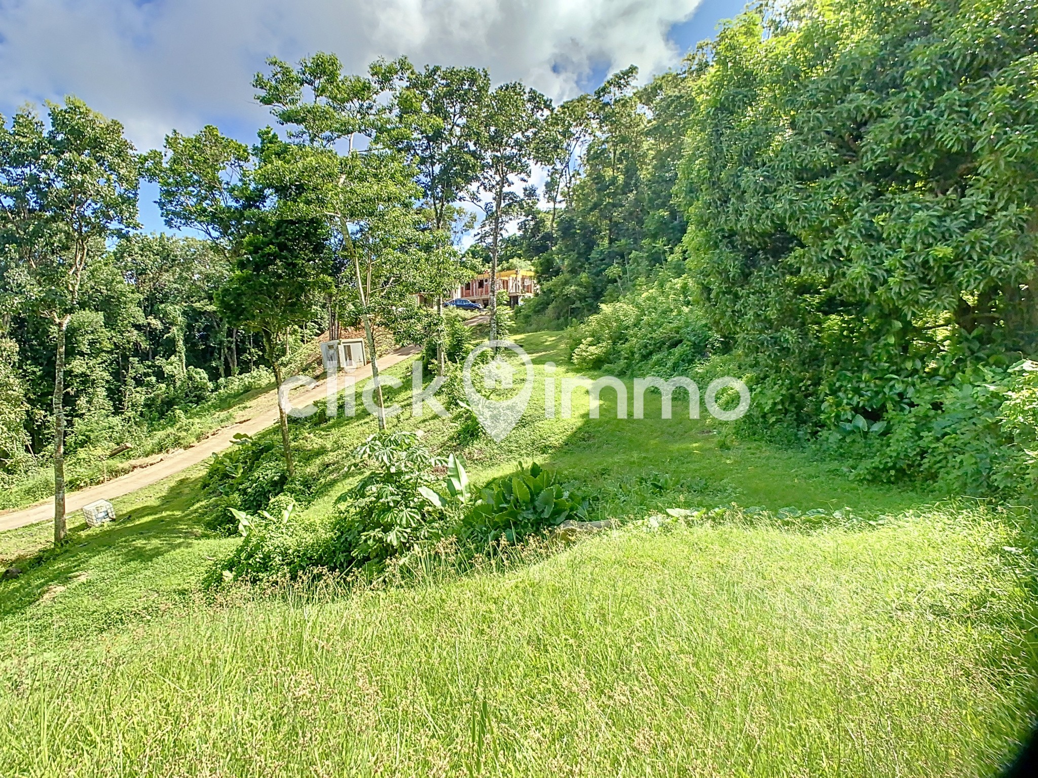 Vente Terrain à Sainte-Luce 0 pièce