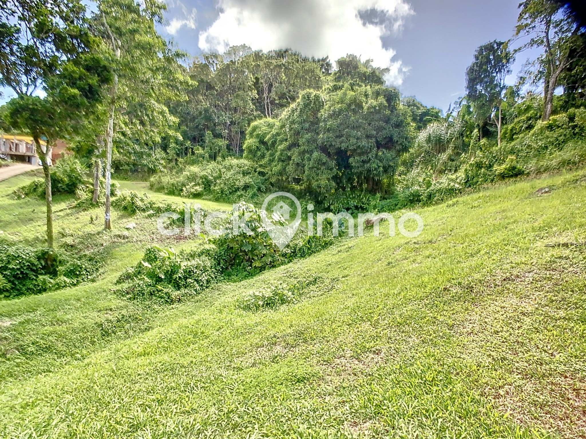 Vente Terrain à Sainte-Luce 0 pièce