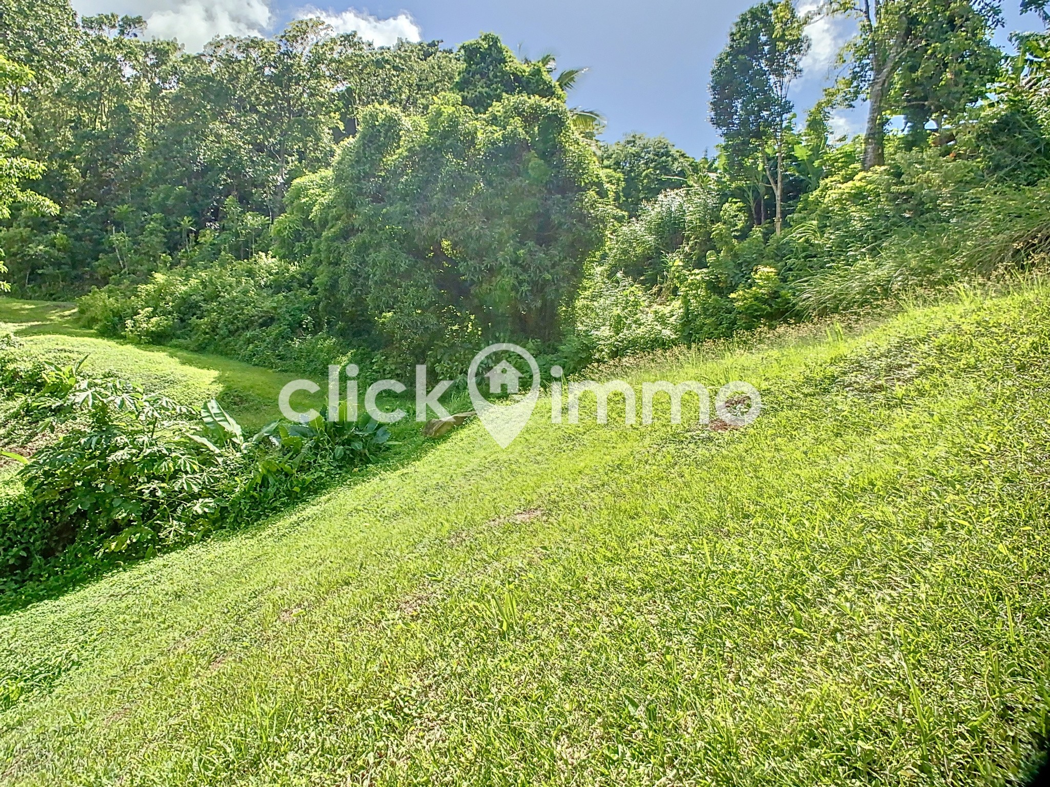 Vente Terrain à Sainte-Luce 0 pièce