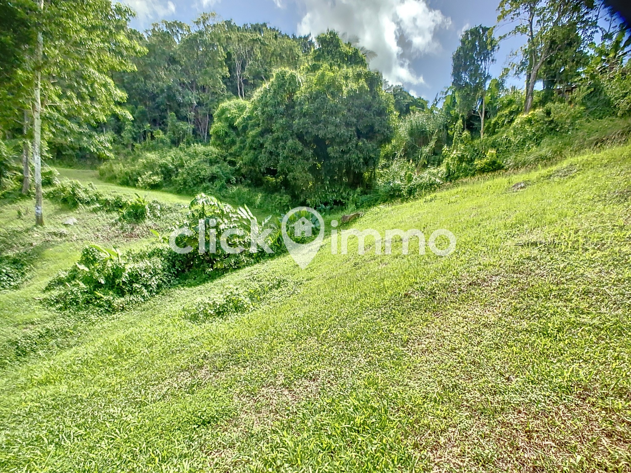 Vente Terrain à Sainte-Luce 0 pièce