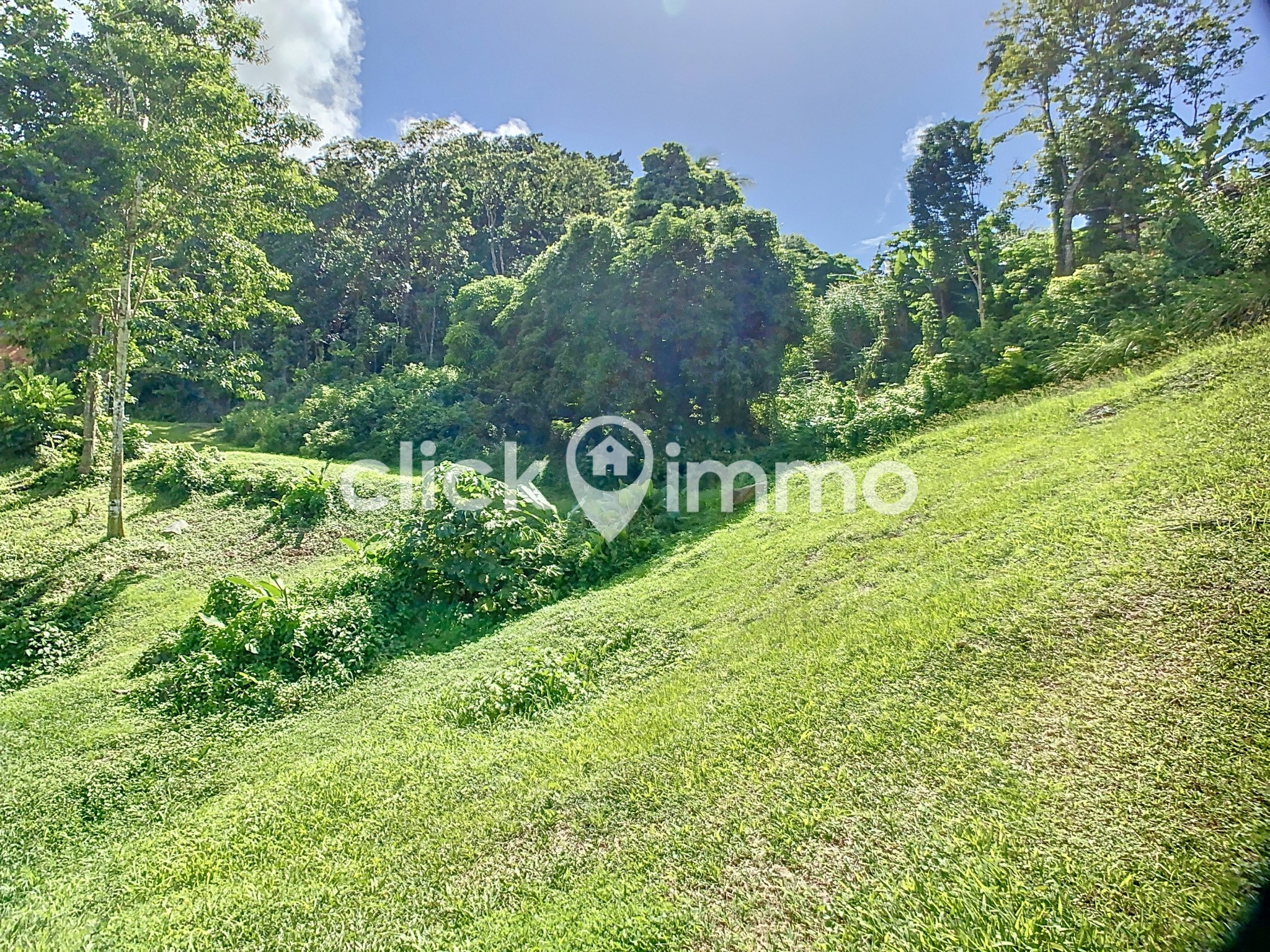 Vente Terrain à Sainte-Luce 0 pièce