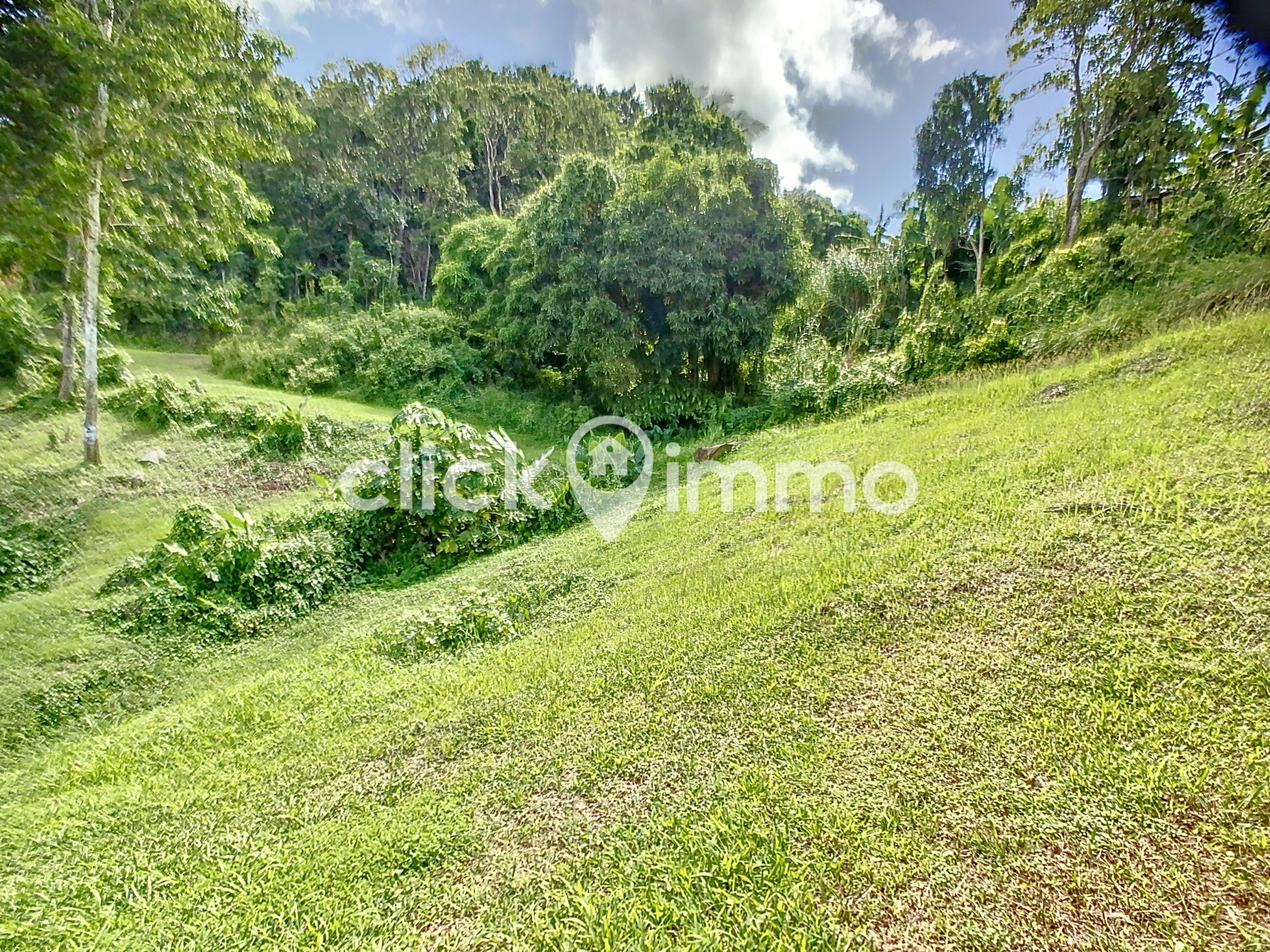 Vente Terrain à Sainte-Luce 0 pièce