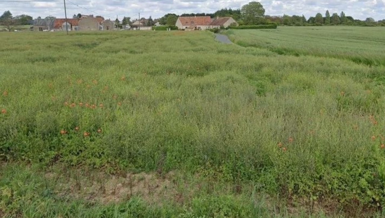 Construction Maison à Champigny-en-Beauce 4 pièces