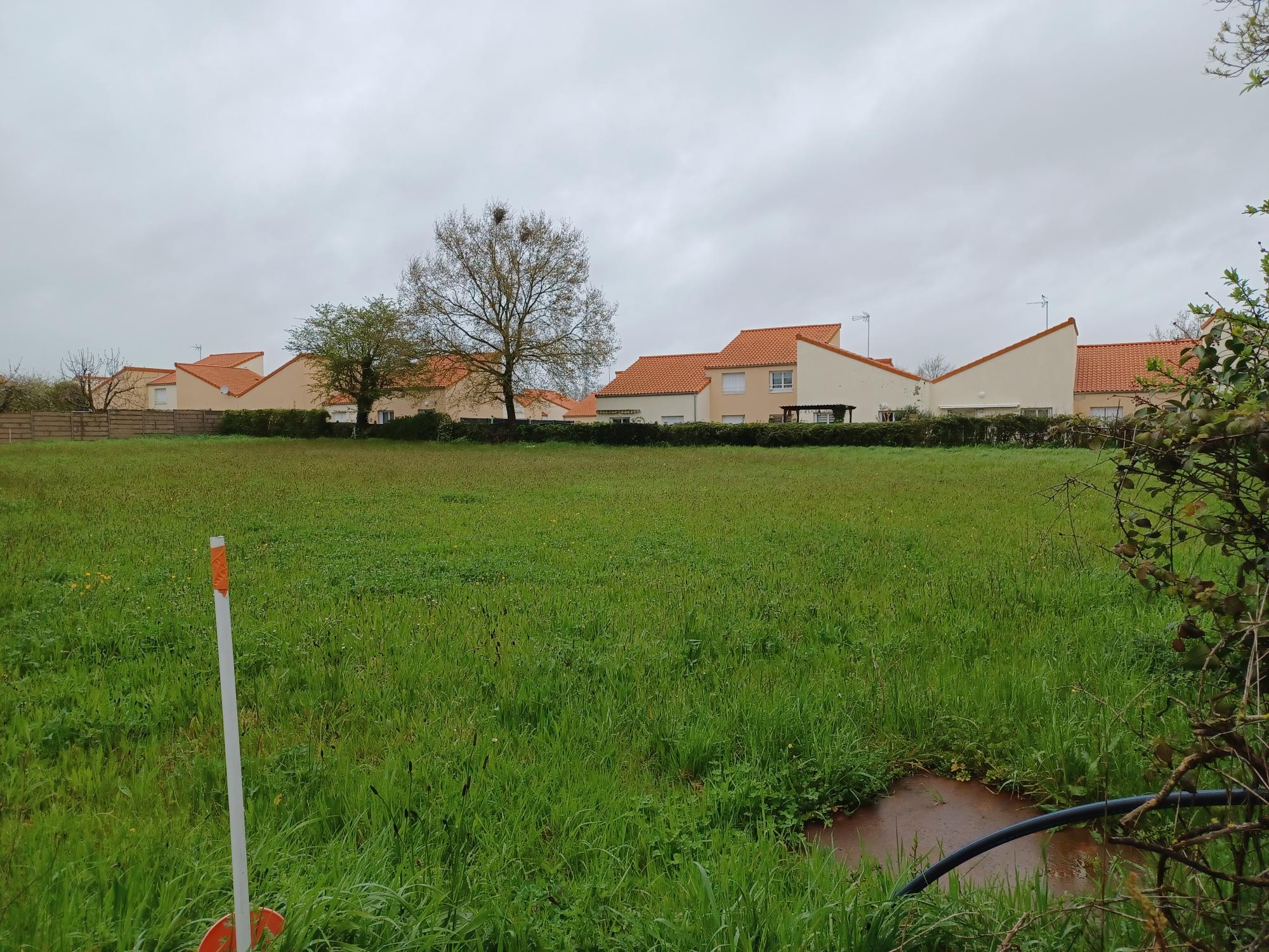 Construction Maison à le May-sur-Èvre 4 pièces