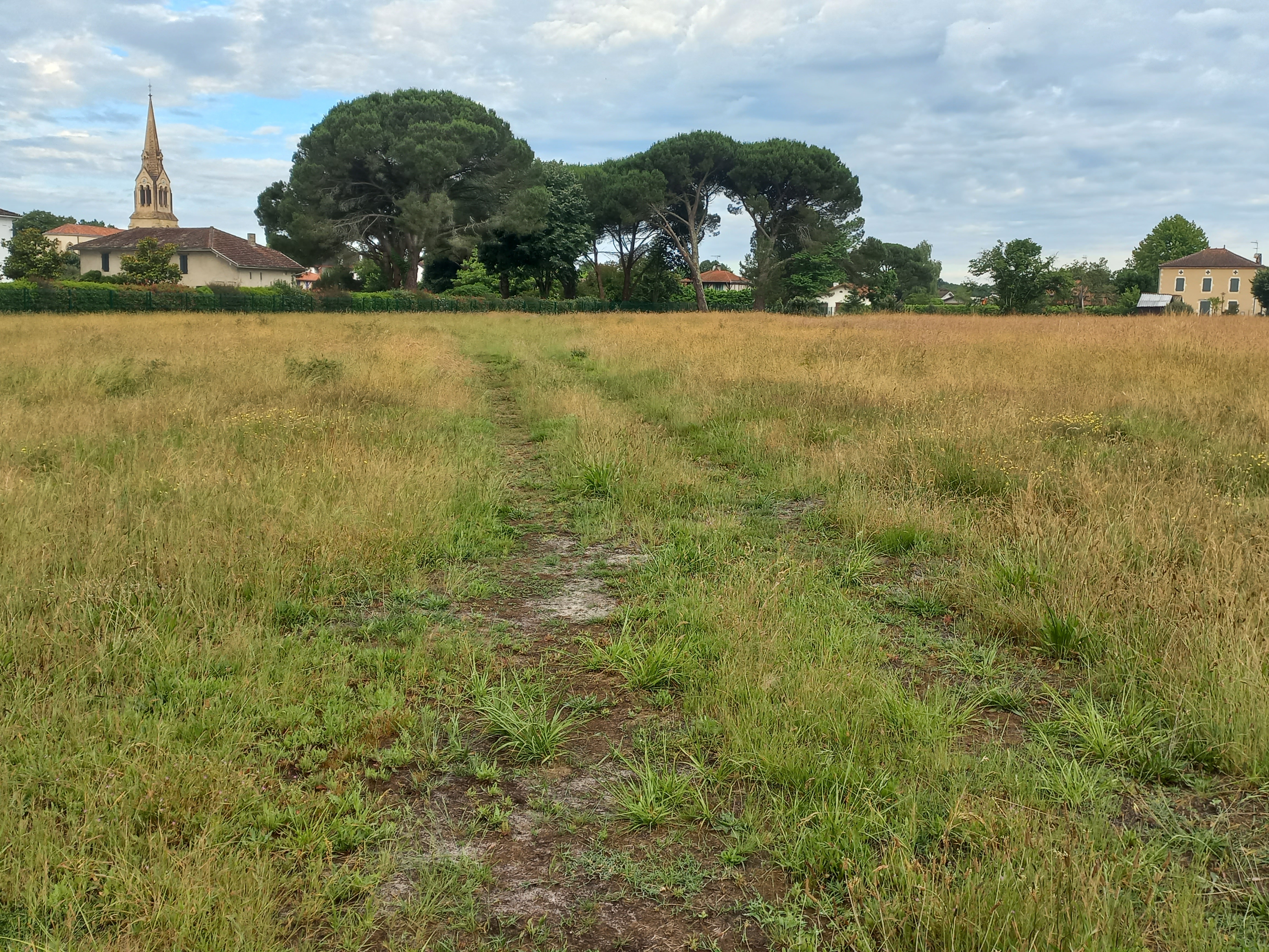 Construction Maison à Rion-des-Landes 4 pièces