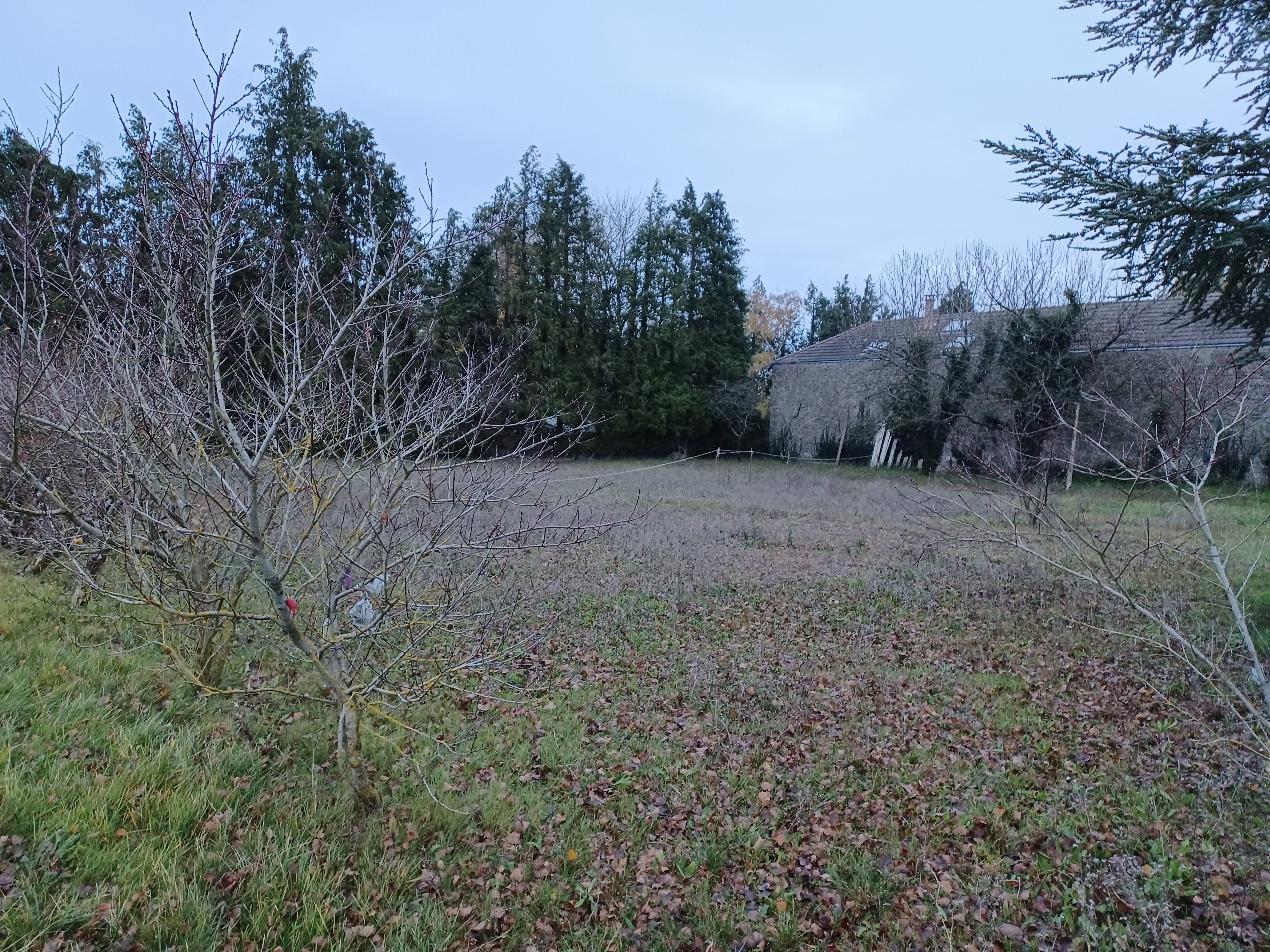 Construction Maison à Bouzonville-aux-Bois 4 pièces