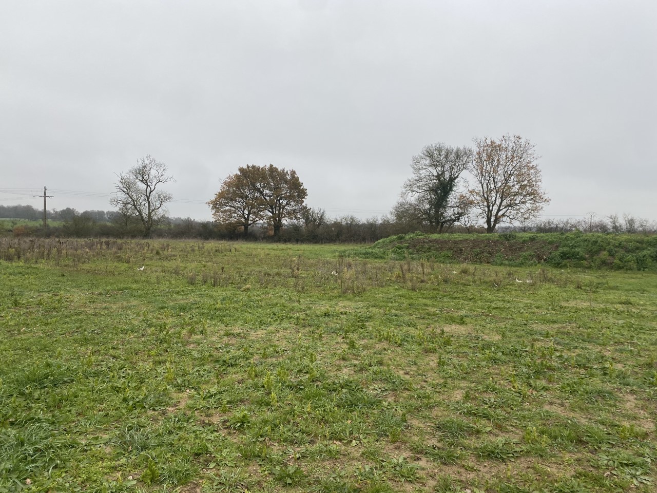 Construction Maison à Champtocé-sur-Loire 4 pièces