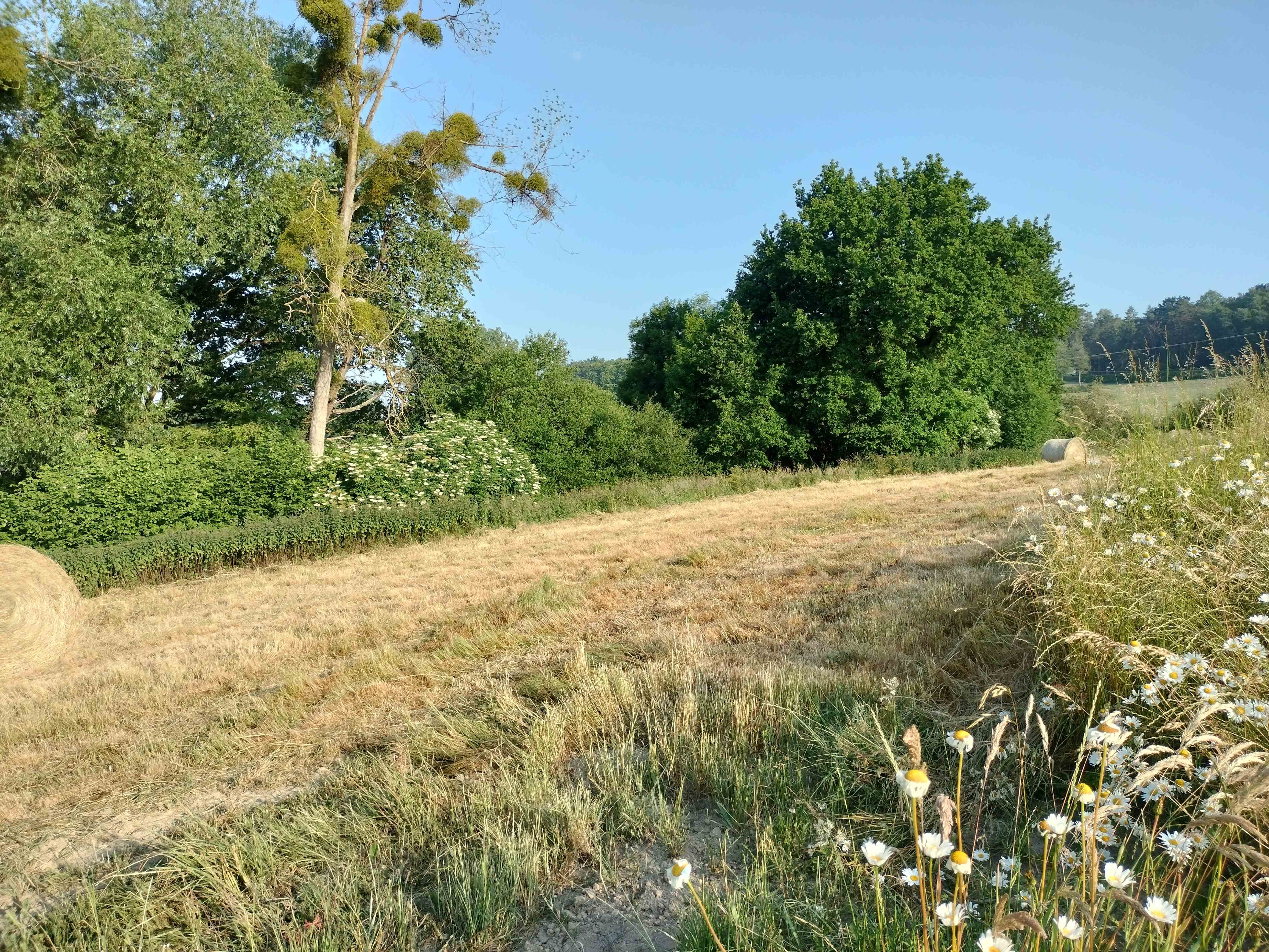 Construction Maison à Châteaubourg 4 pièces