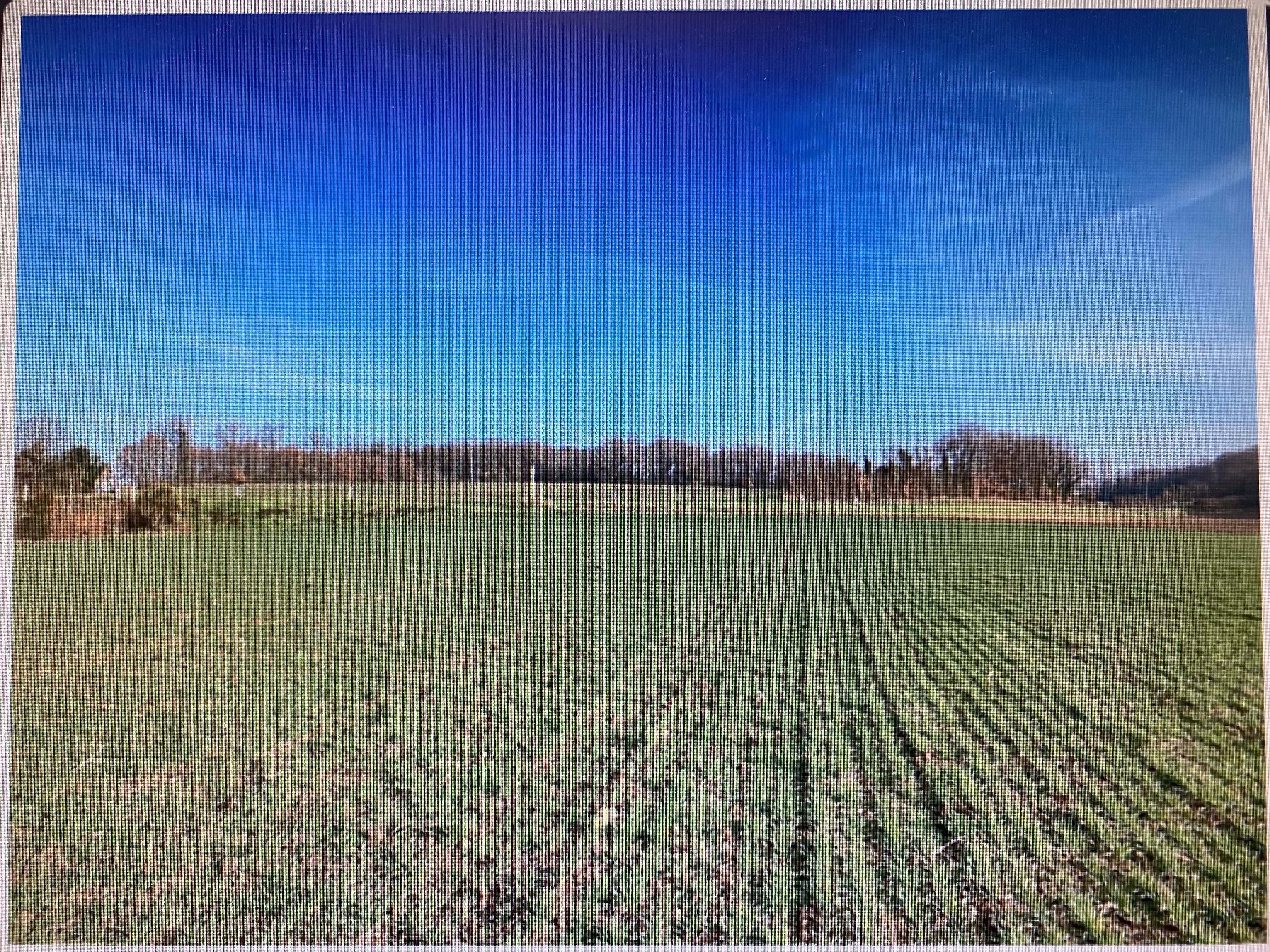 Construction Maison à Sainte-Maure-de-Touraine 4 pièces